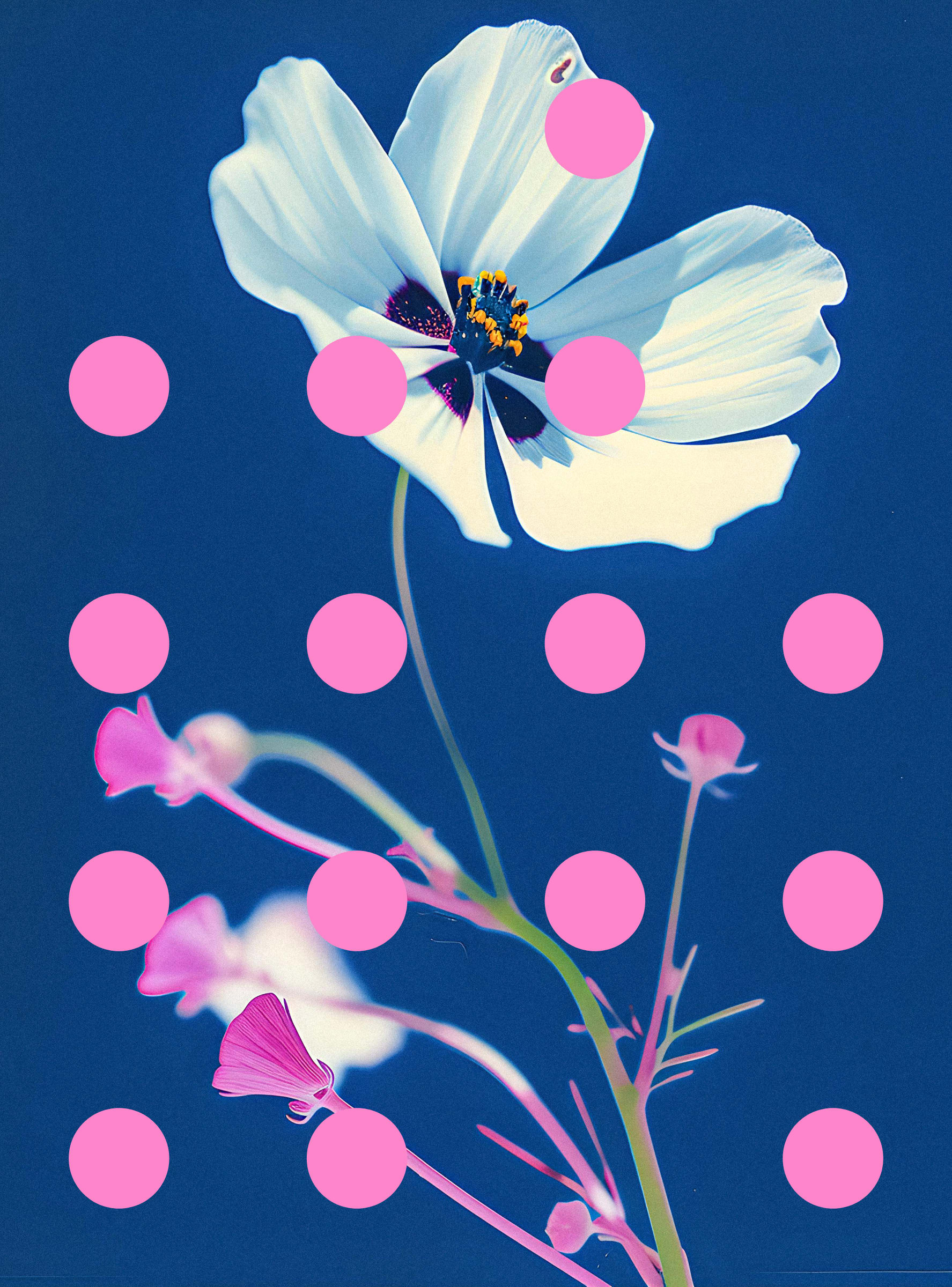 Flore Perdue #29000025