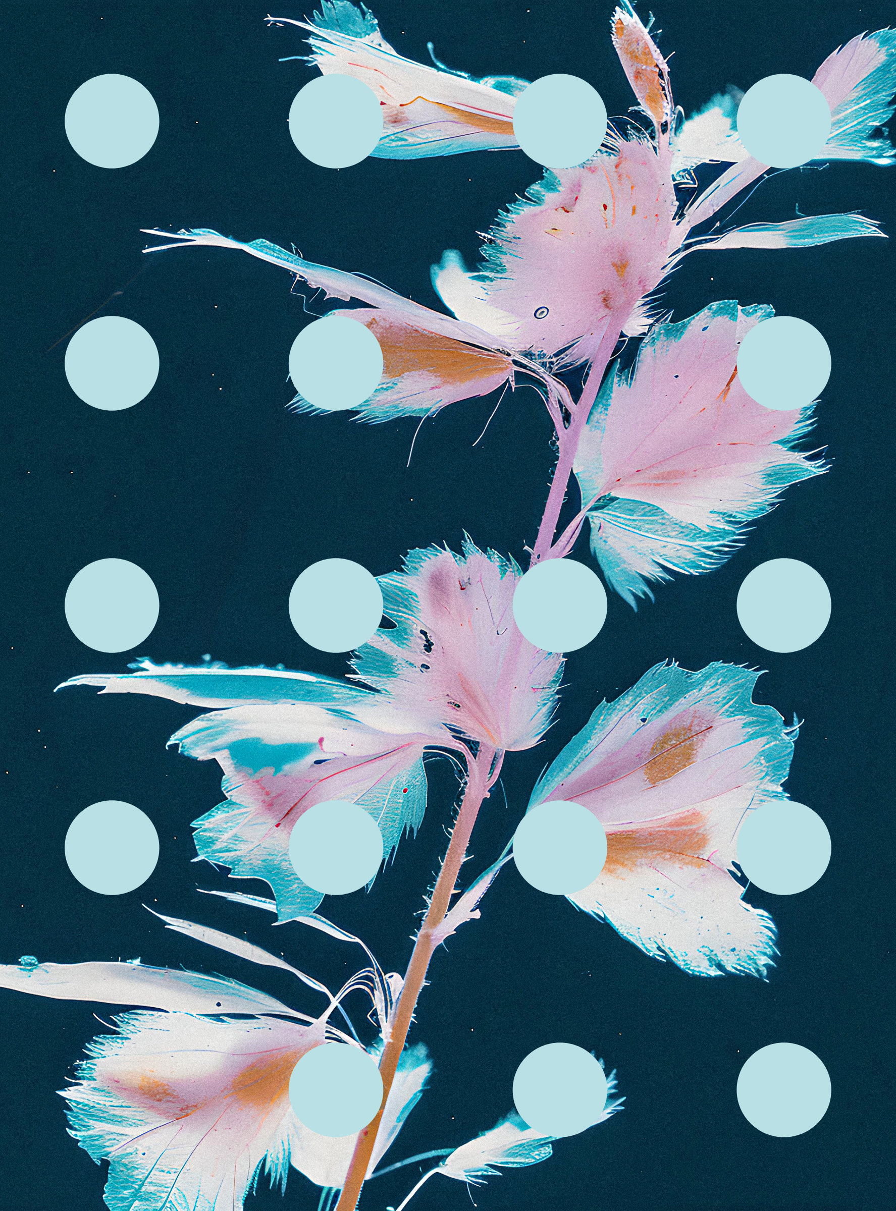 Flore Perdue #29000028