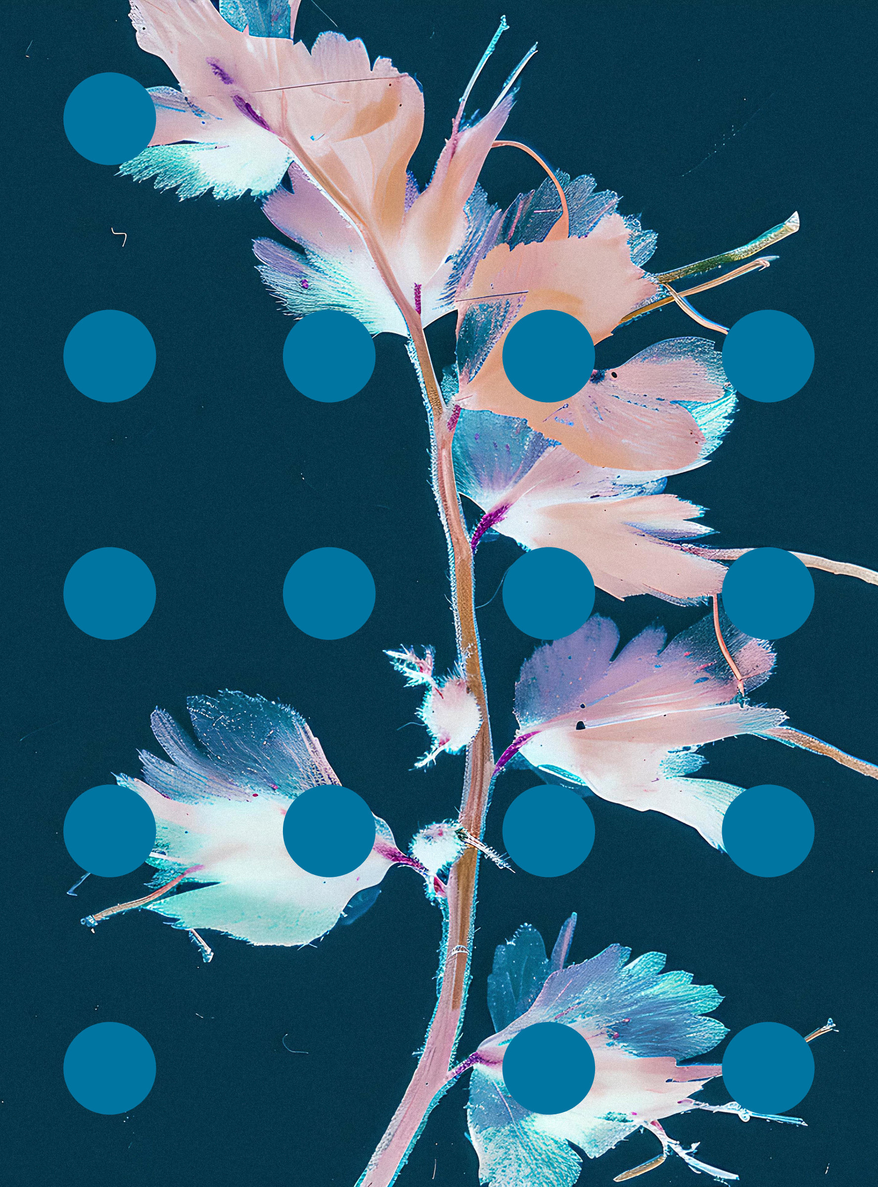 Flore Perdue #29000067