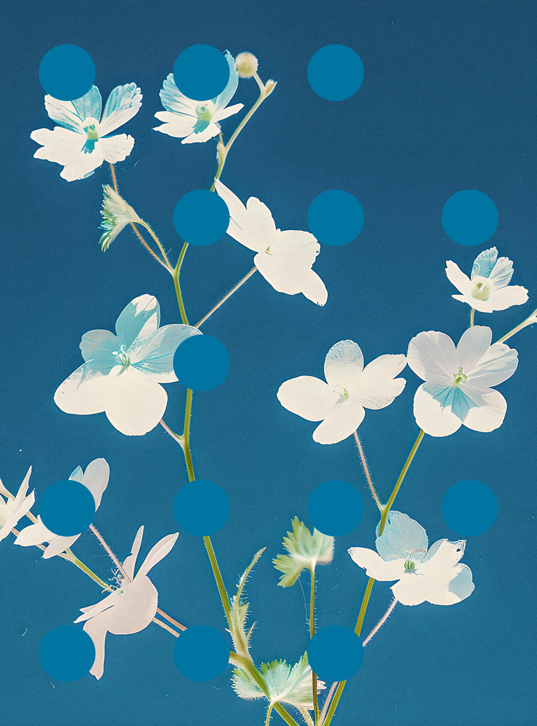 Flore Perdue #29000068