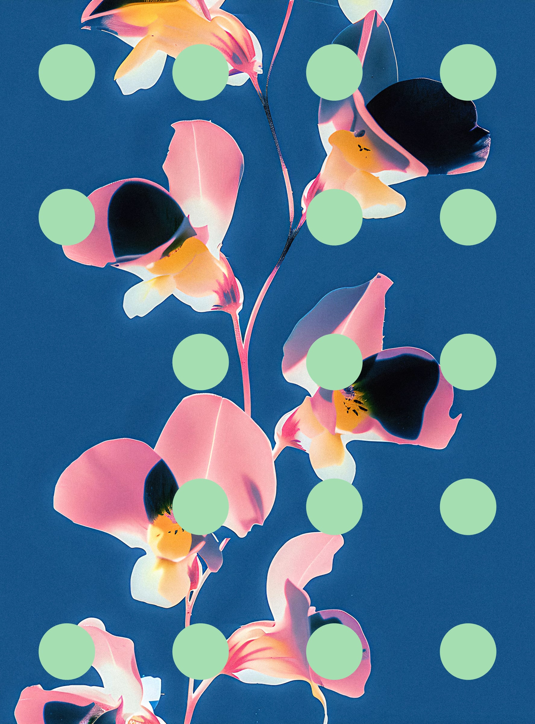 Flore Perdue #29000073