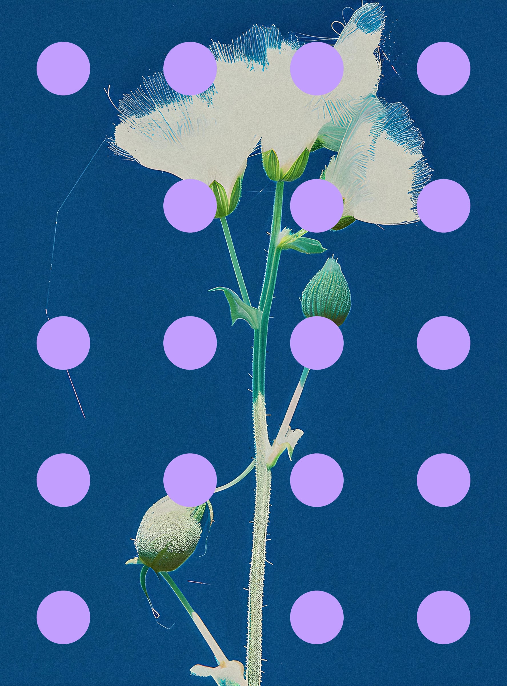 Featured token for: Flore Perdue