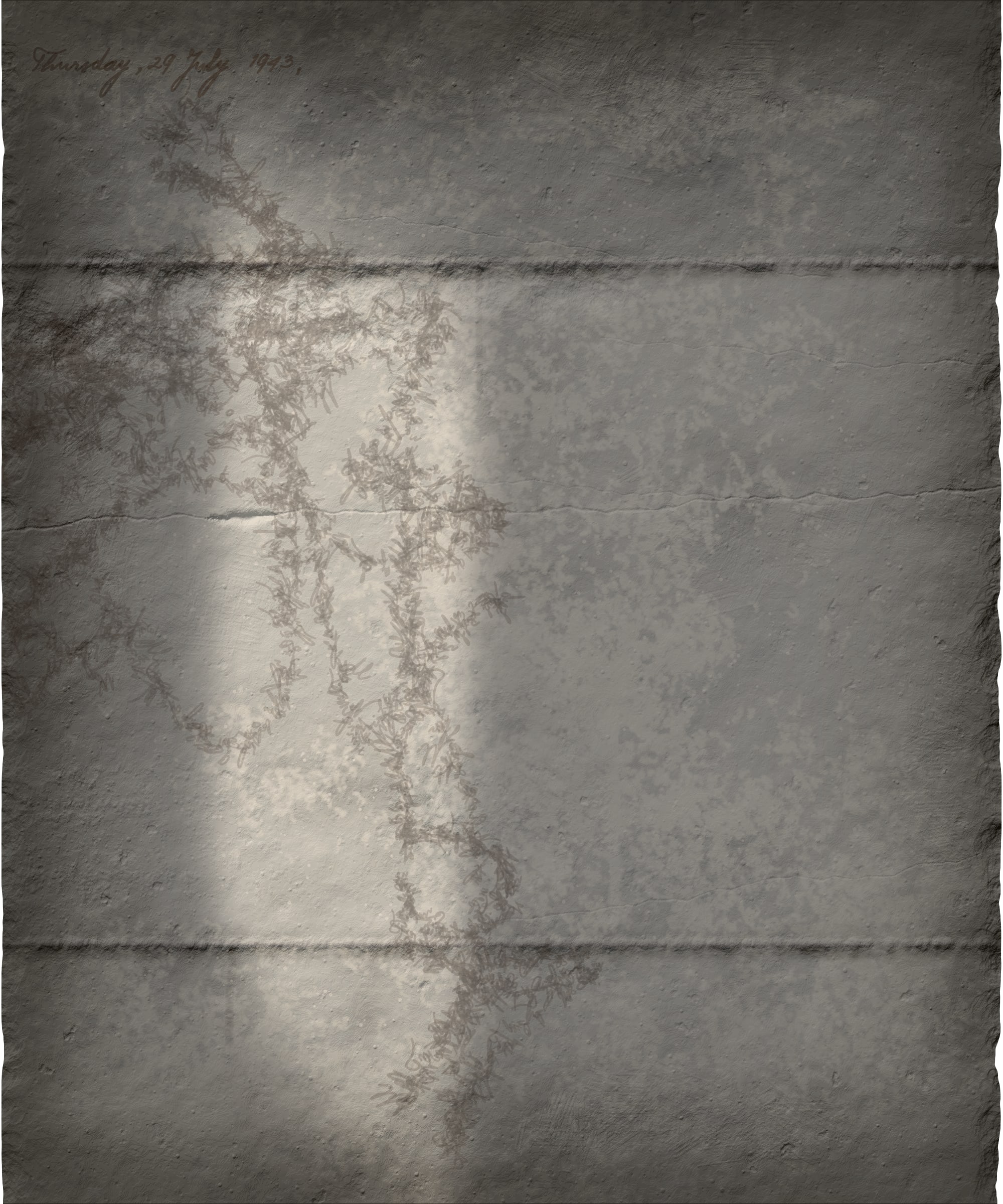 56