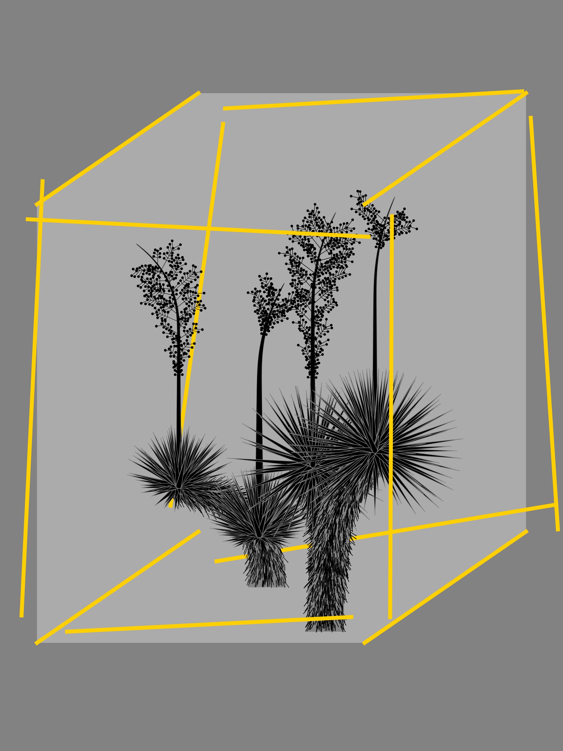 Featured token for: Marfa Yucca