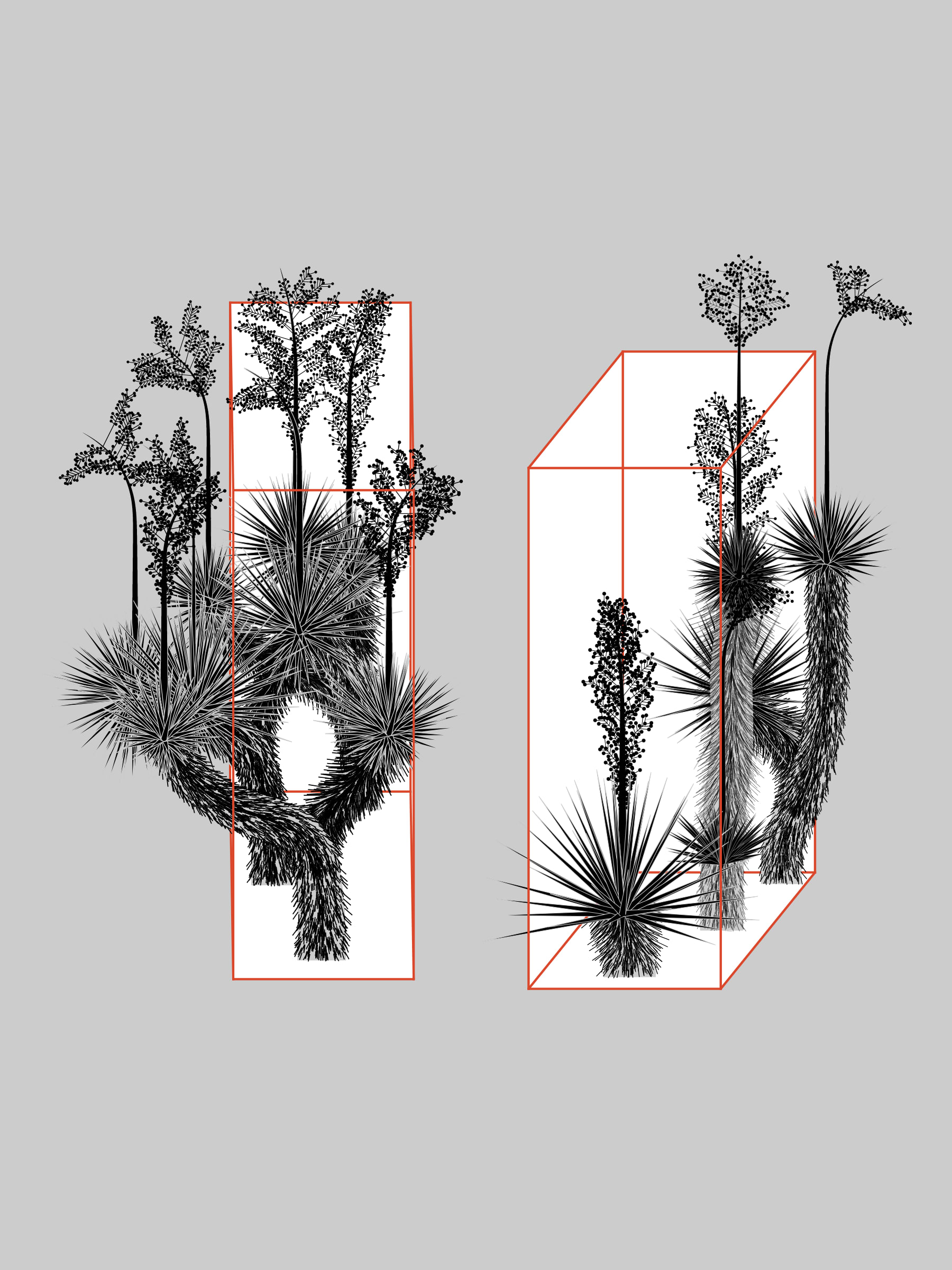 Featured token for: Marfa Yucca