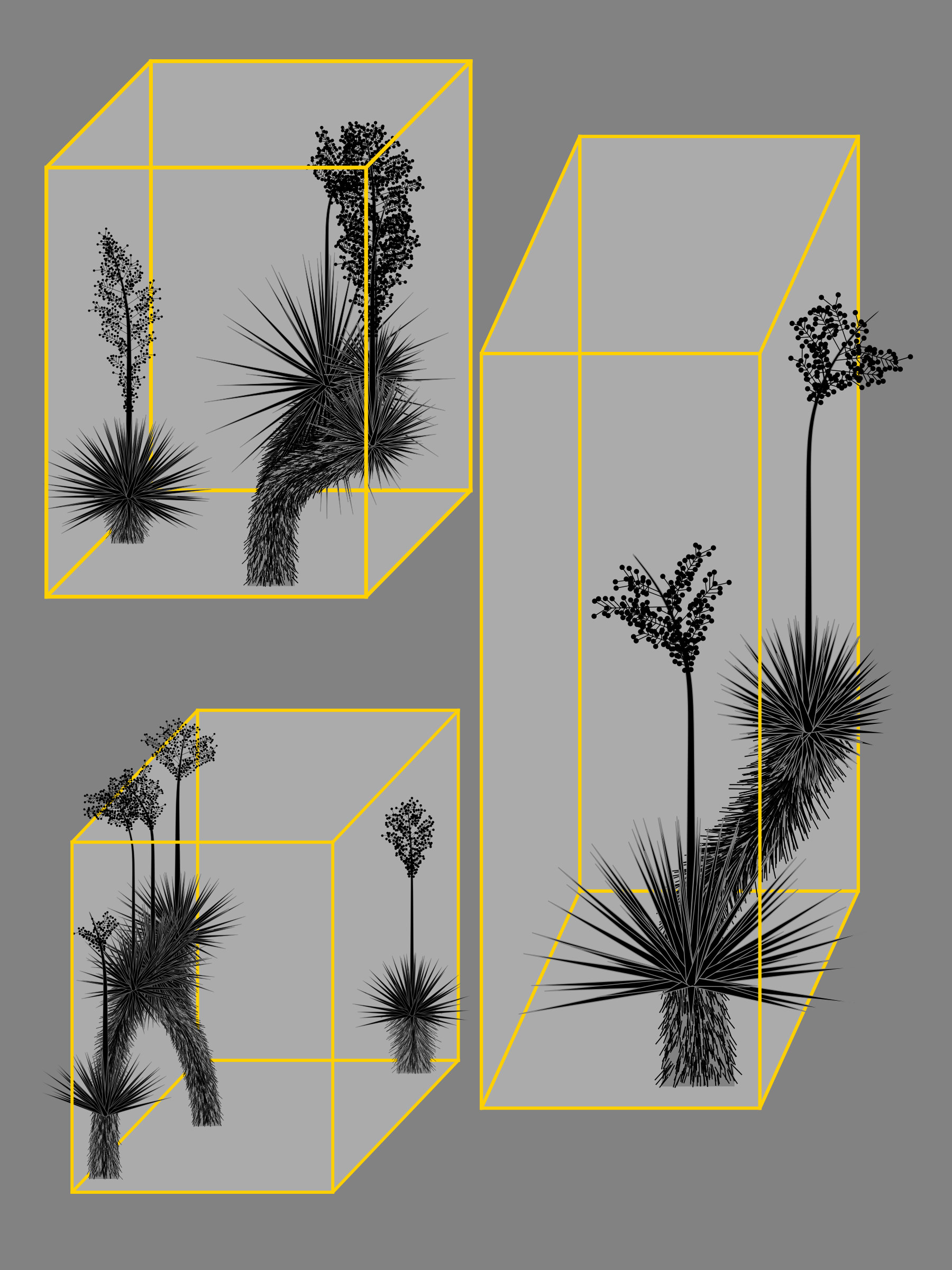 Featured token for: Marfa Yucca