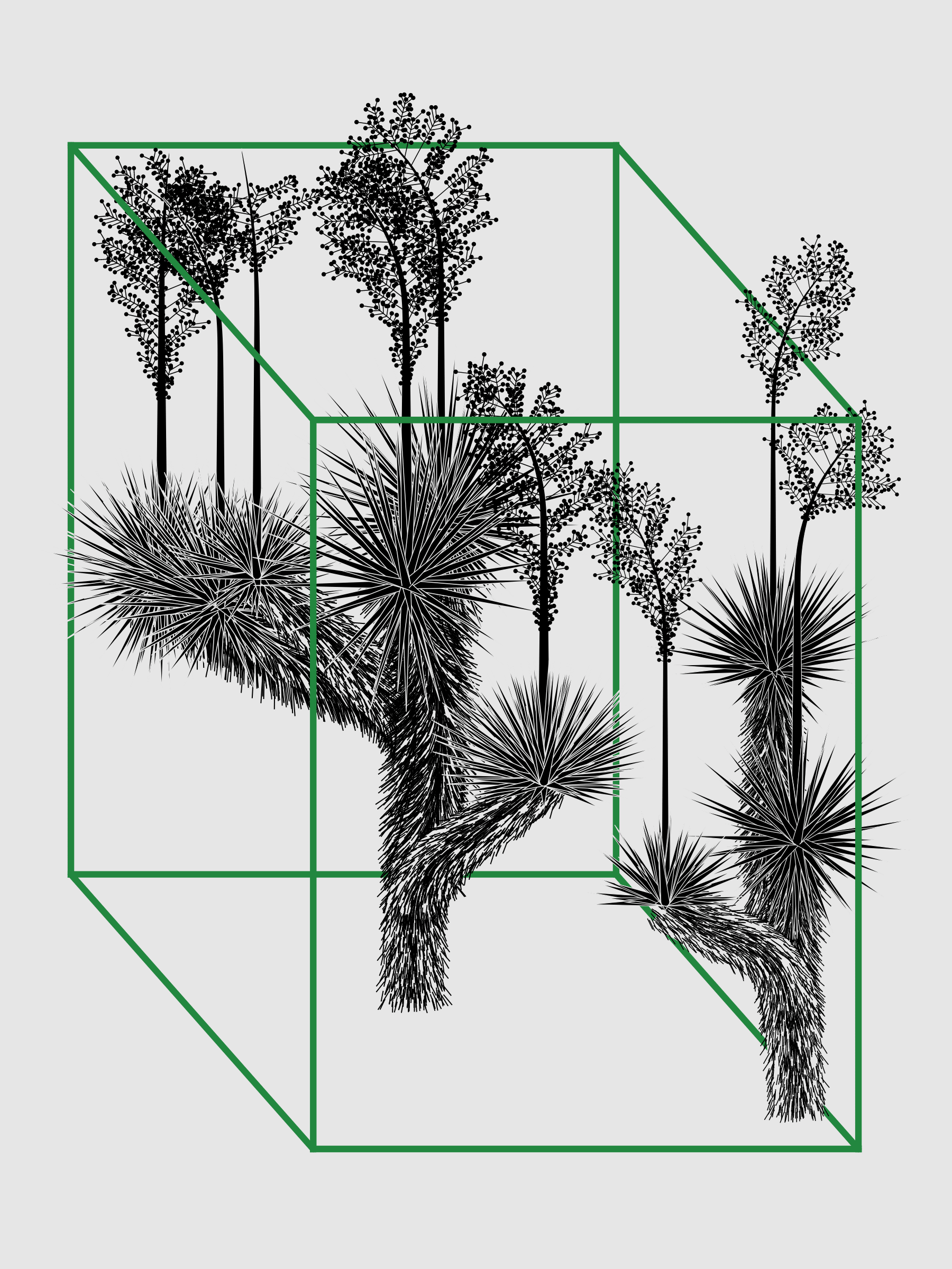 Featured token for: Marfa Yucca