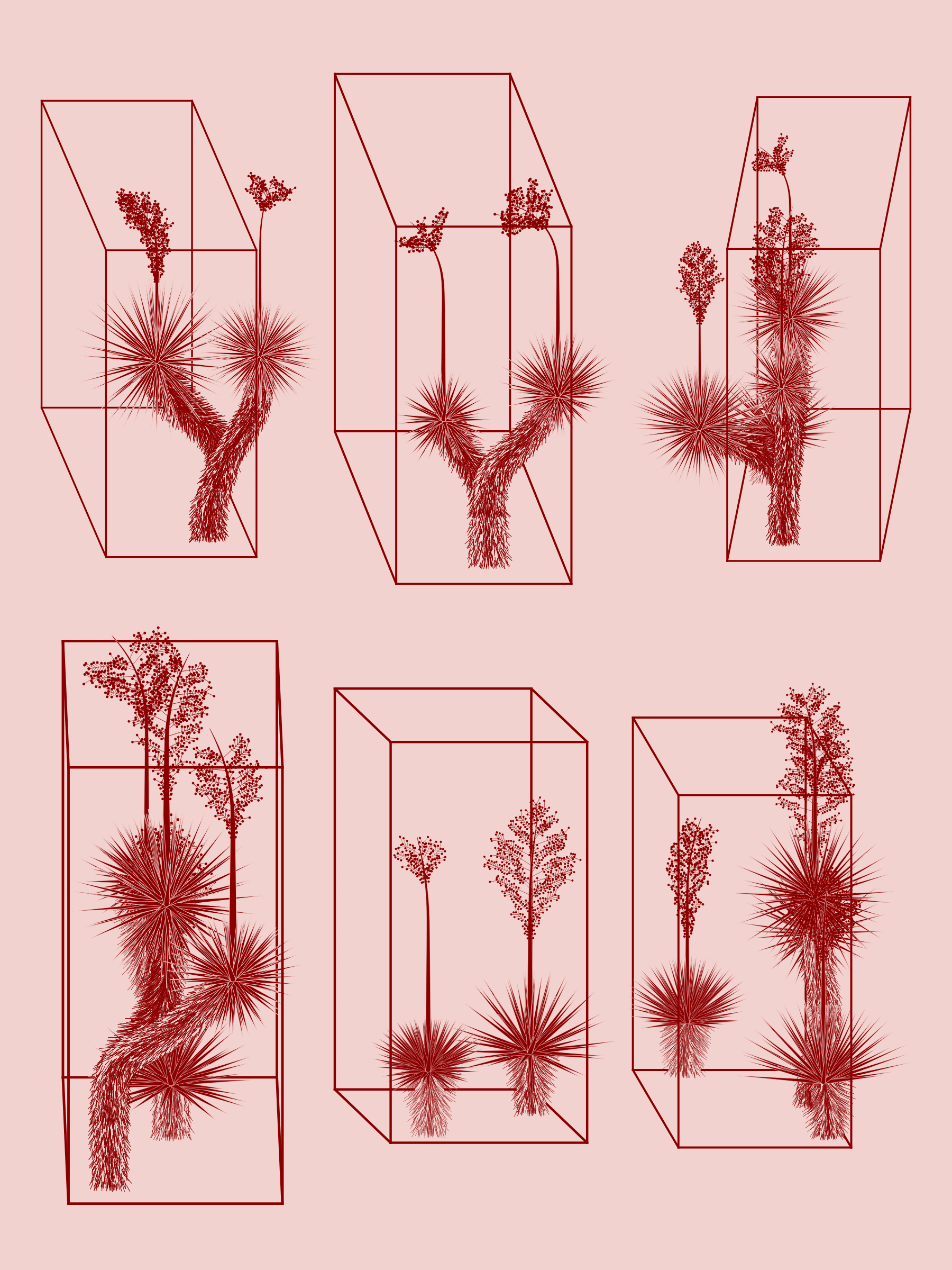 Featured token for: Marfa Yucca