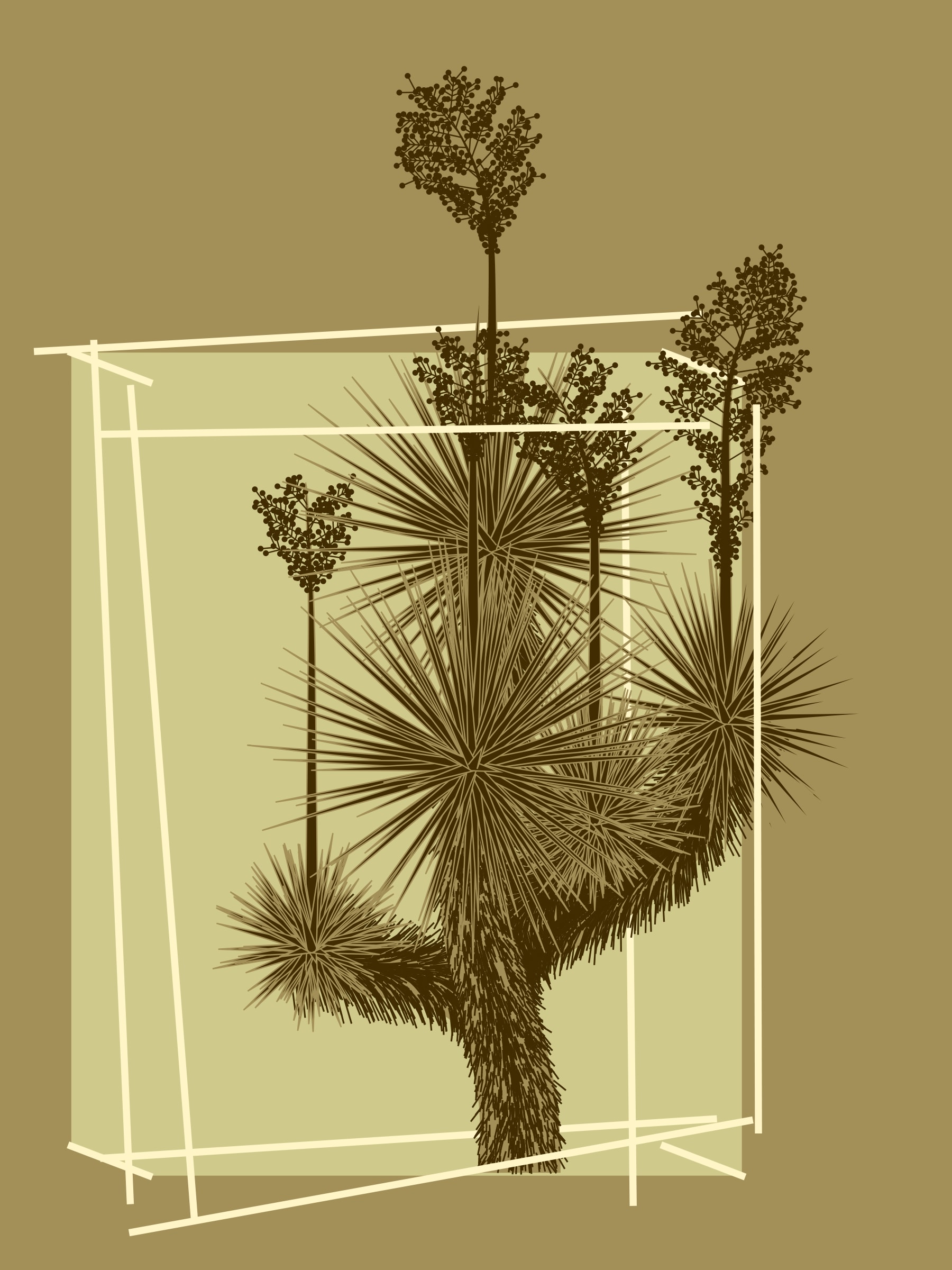 Featured token for: Marfa Yucca