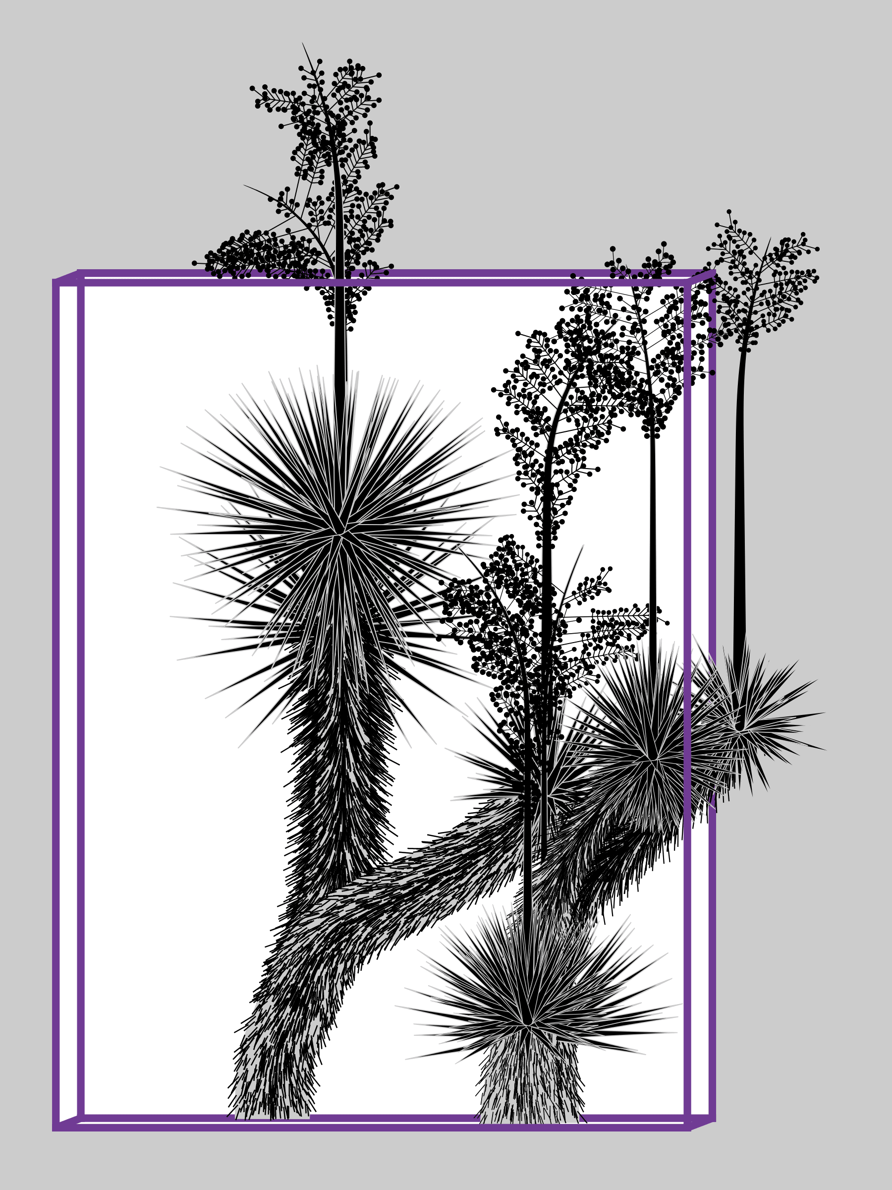 Featured token for: Marfa Yucca