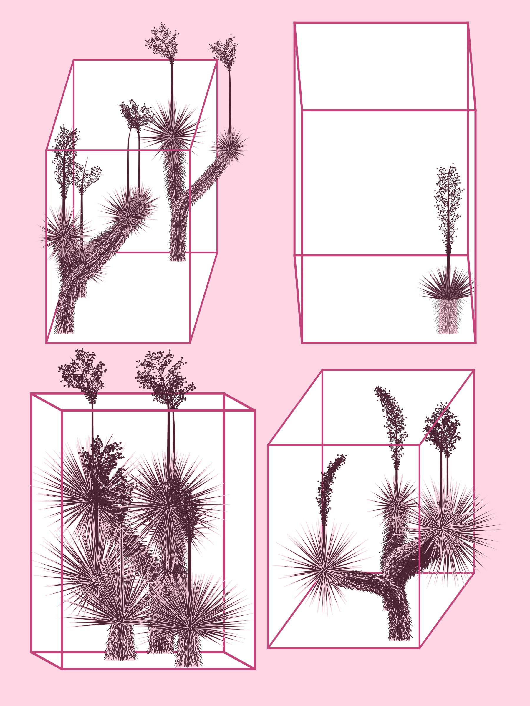 Featured token for: Marfa Yucca