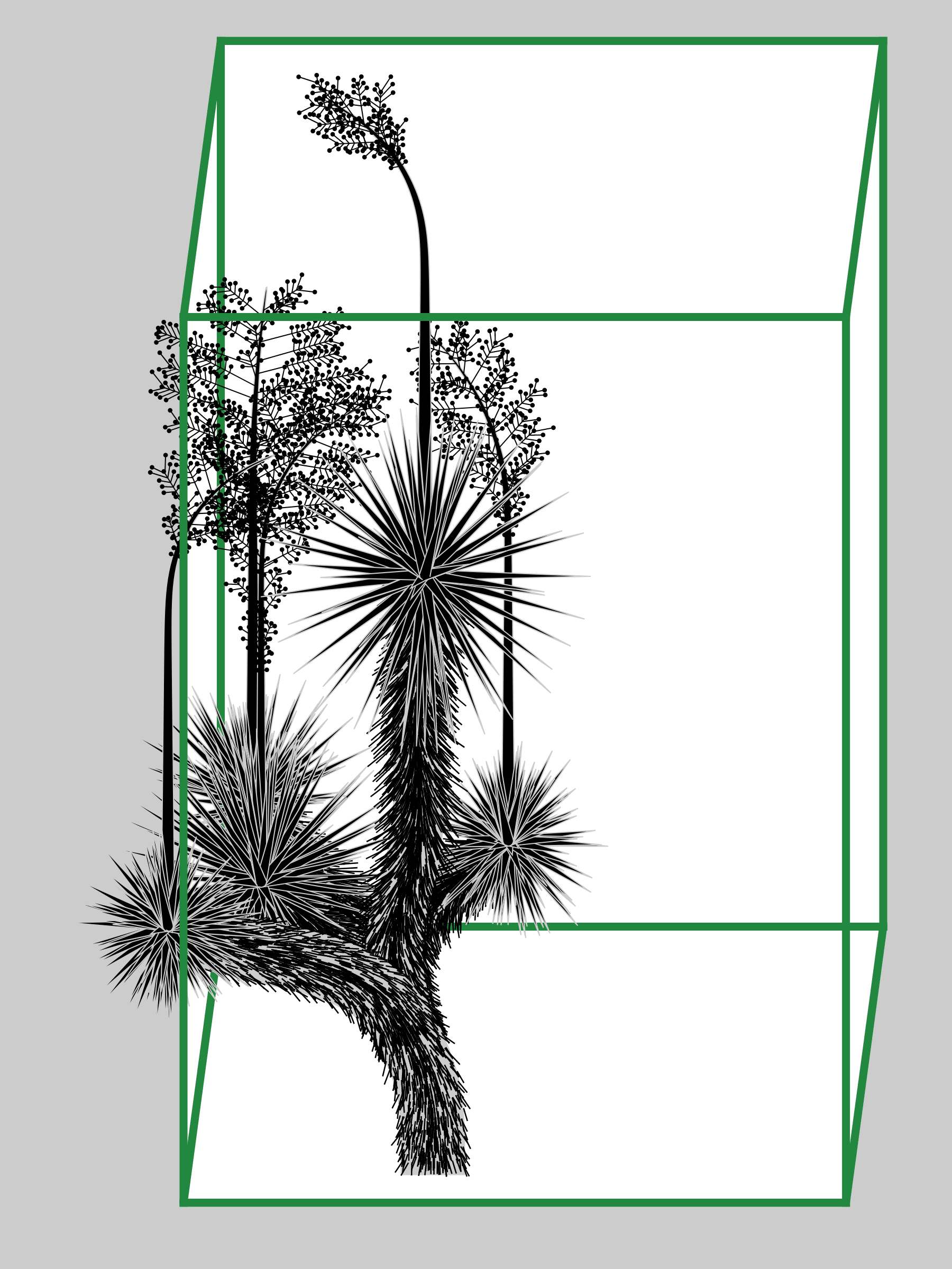 Featured token for: Marfa Yucca