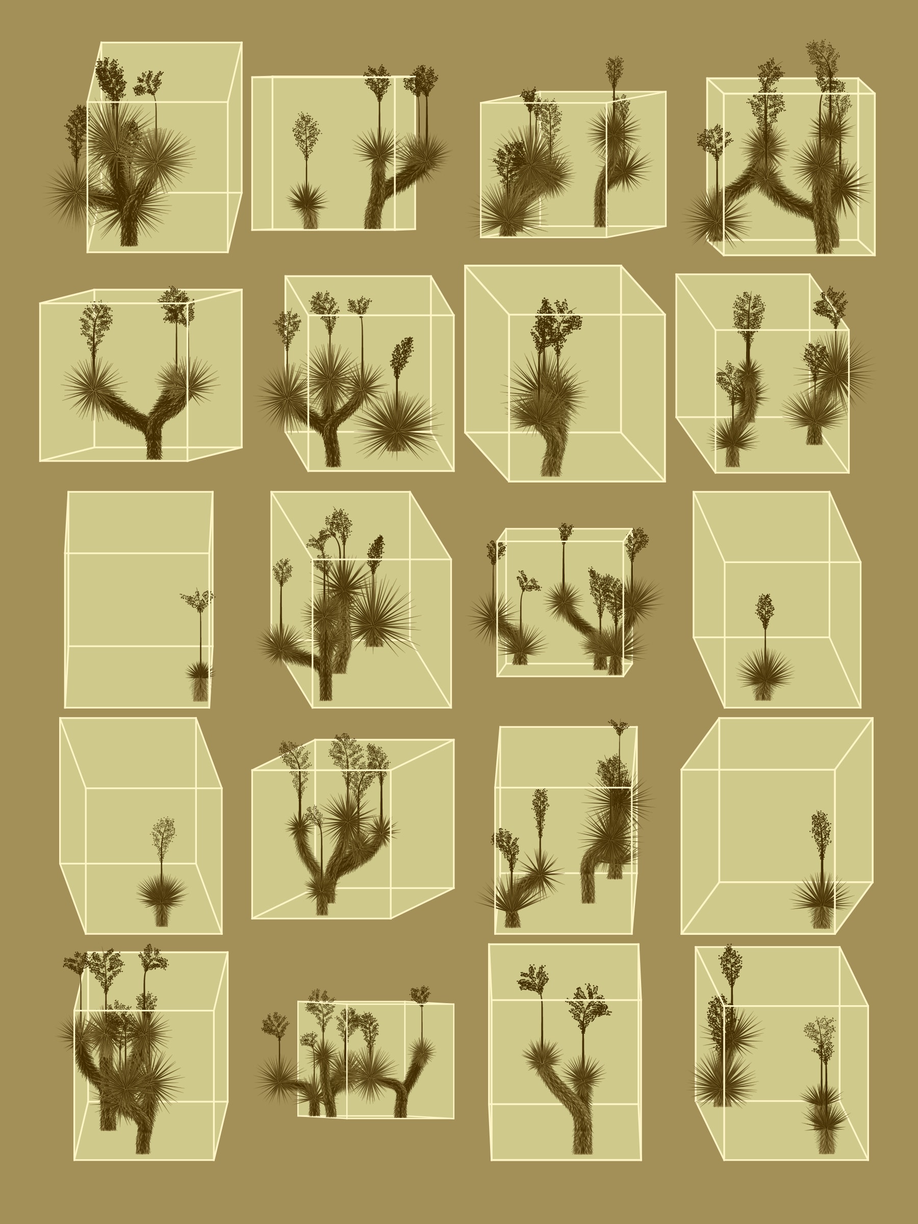 Explorations