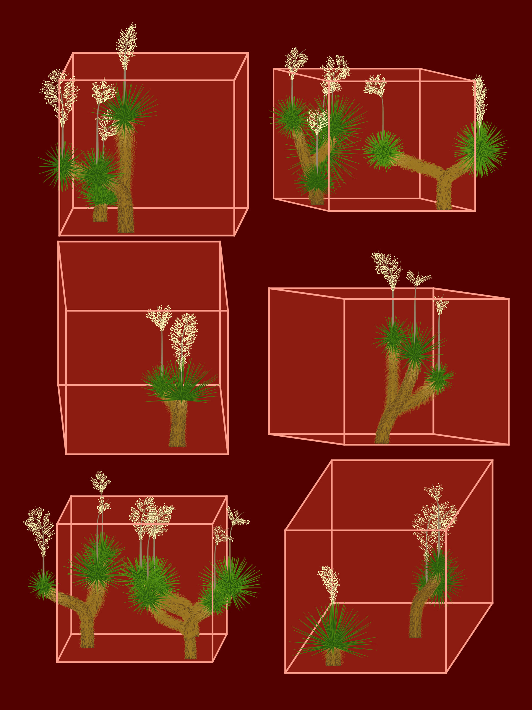 Featured token for: Marfa Yucca