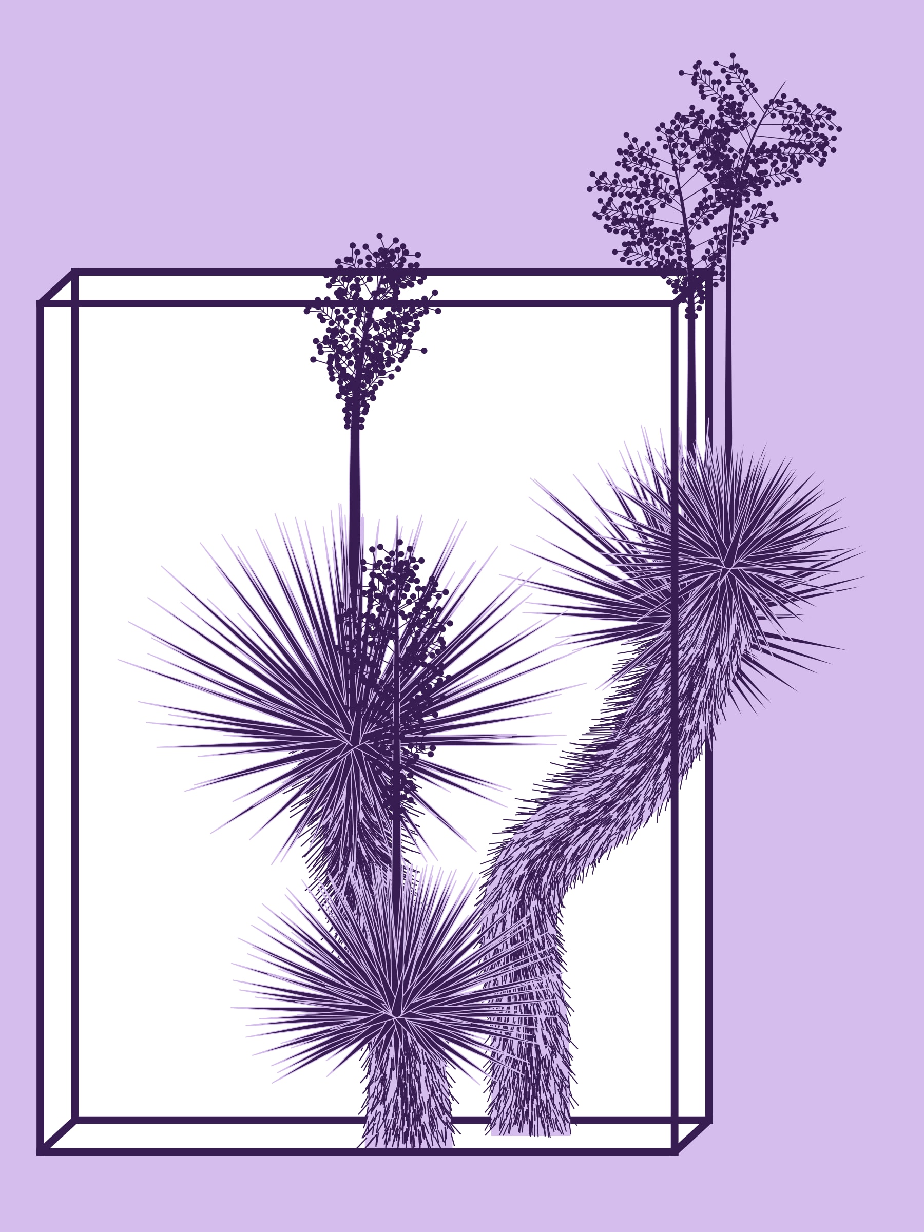 Marfa Yucca preview 6