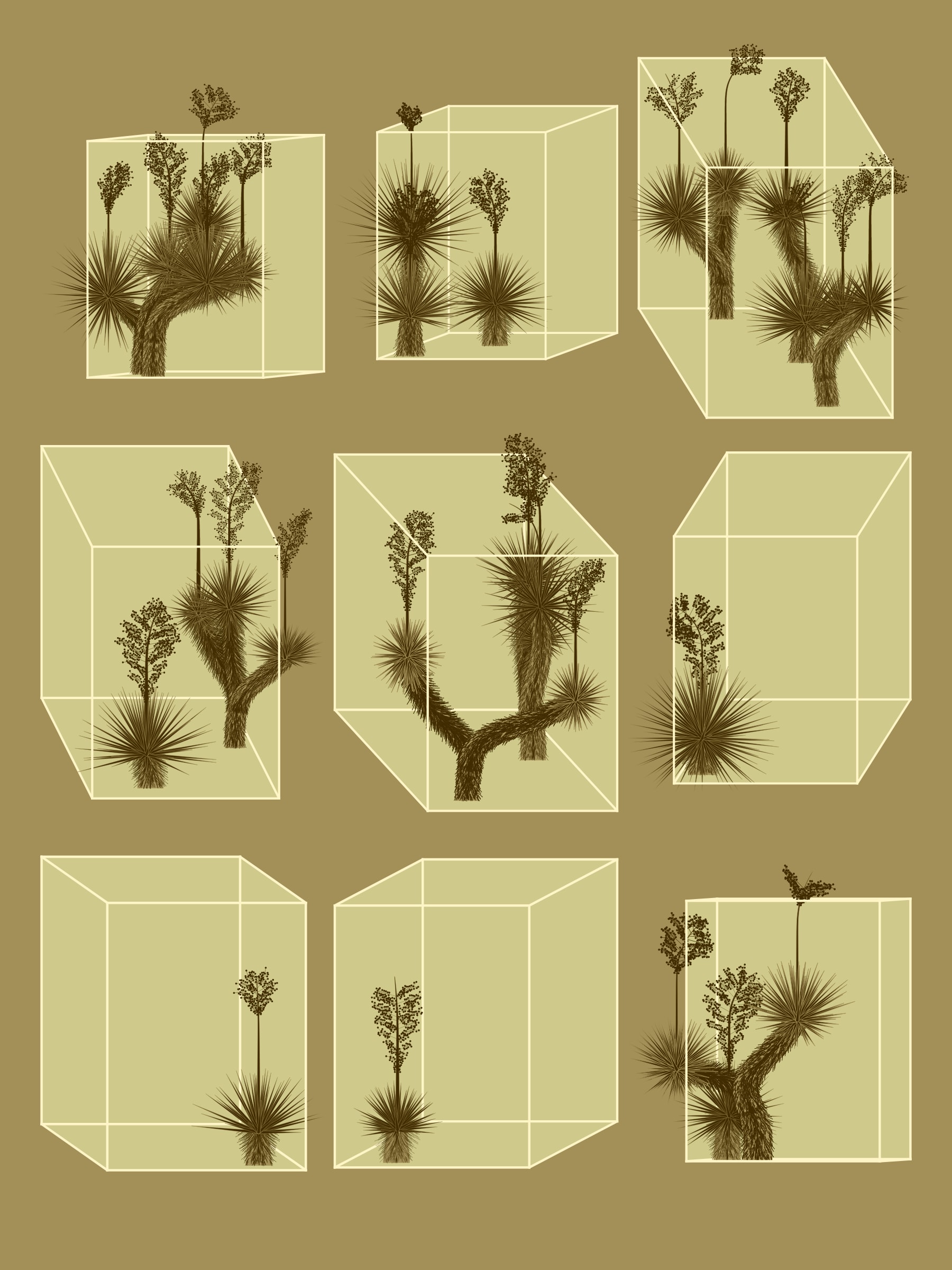 Featured token for: Marfa Yucca