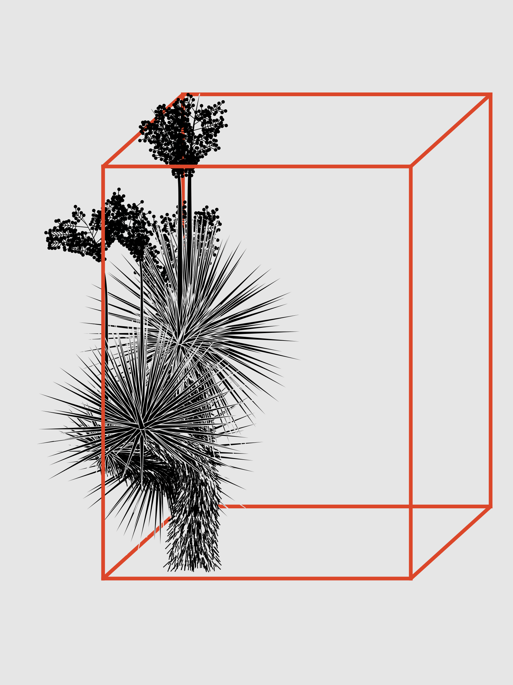 Featured token for: Marfa Yucca