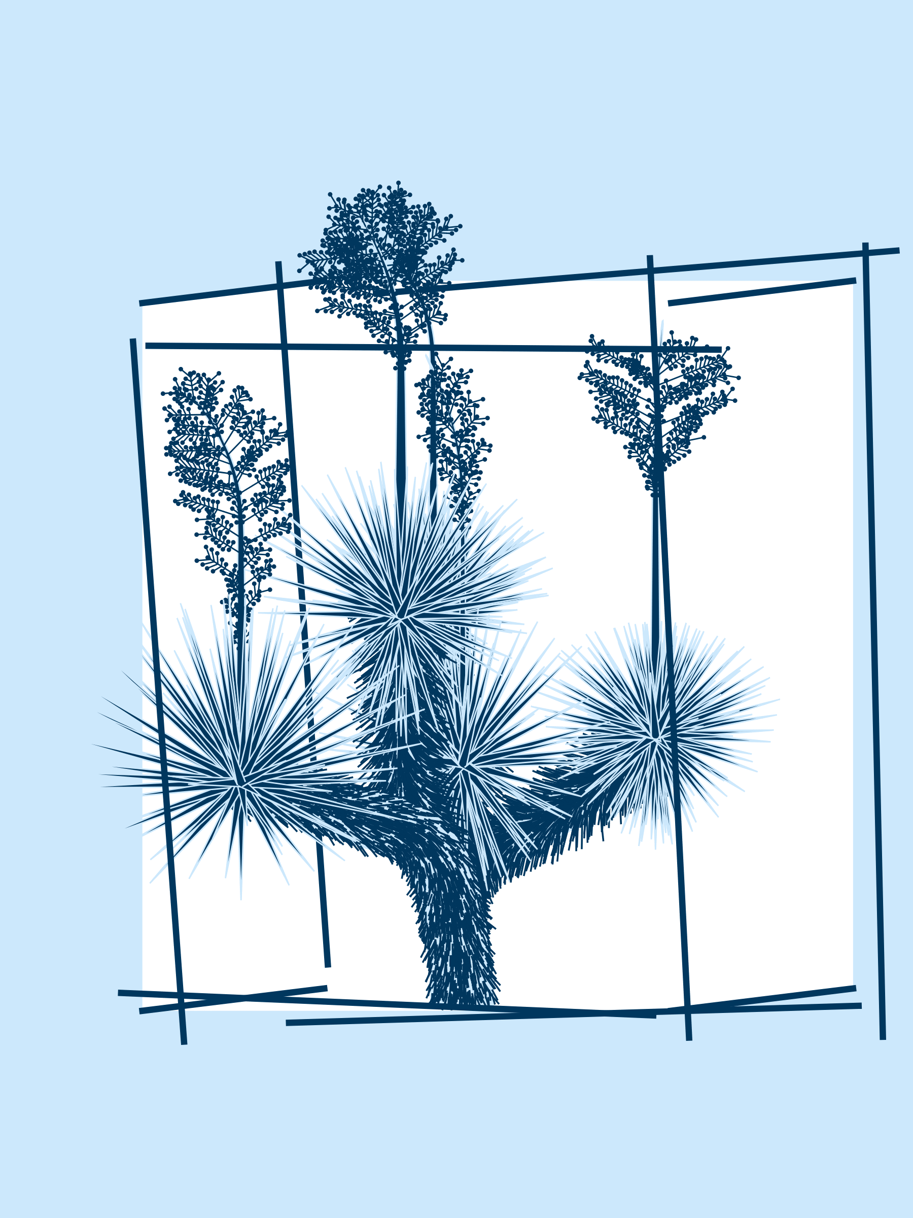Featured token for: Marfa Yucca