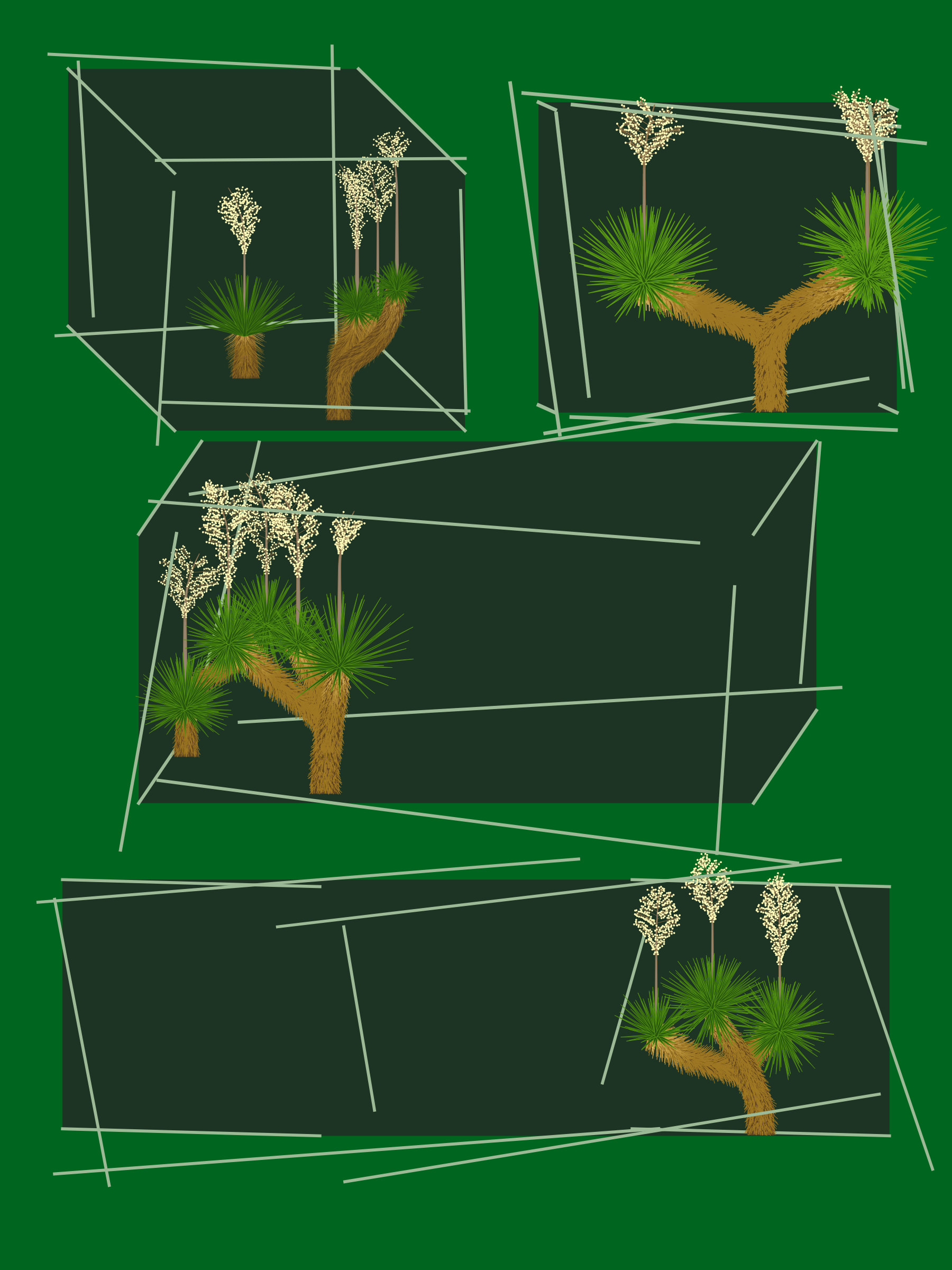 Featured token for: Marfa Yucca