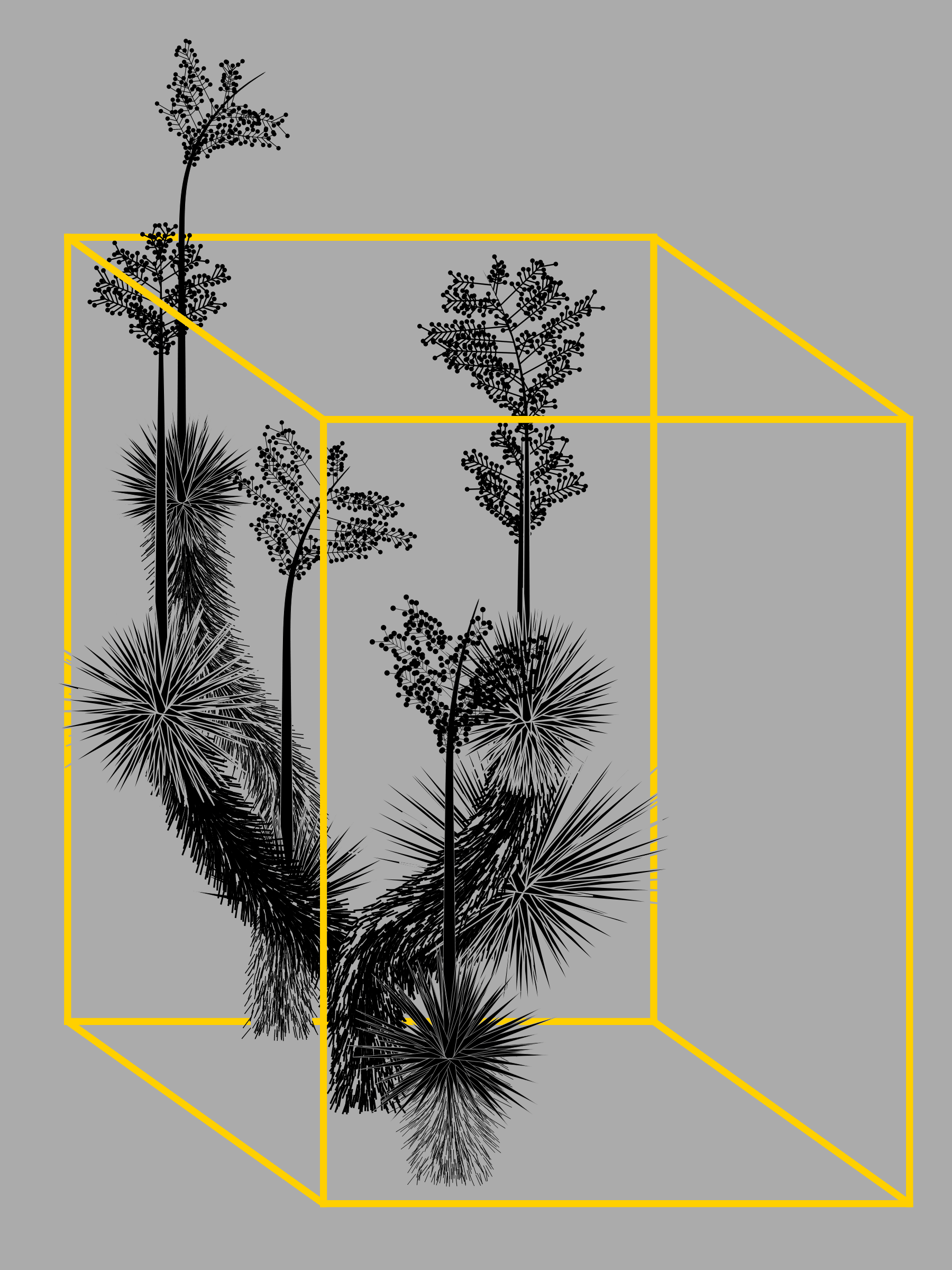 Featured token for: Marfa Yucca