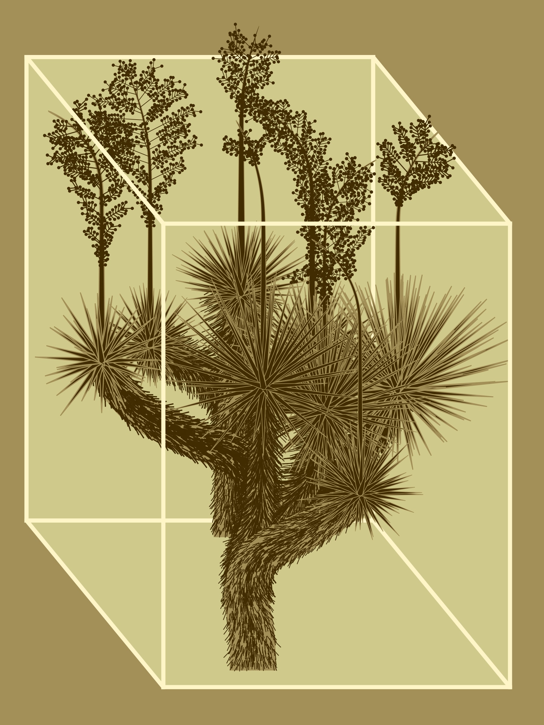 Marfa Yucca preview 6