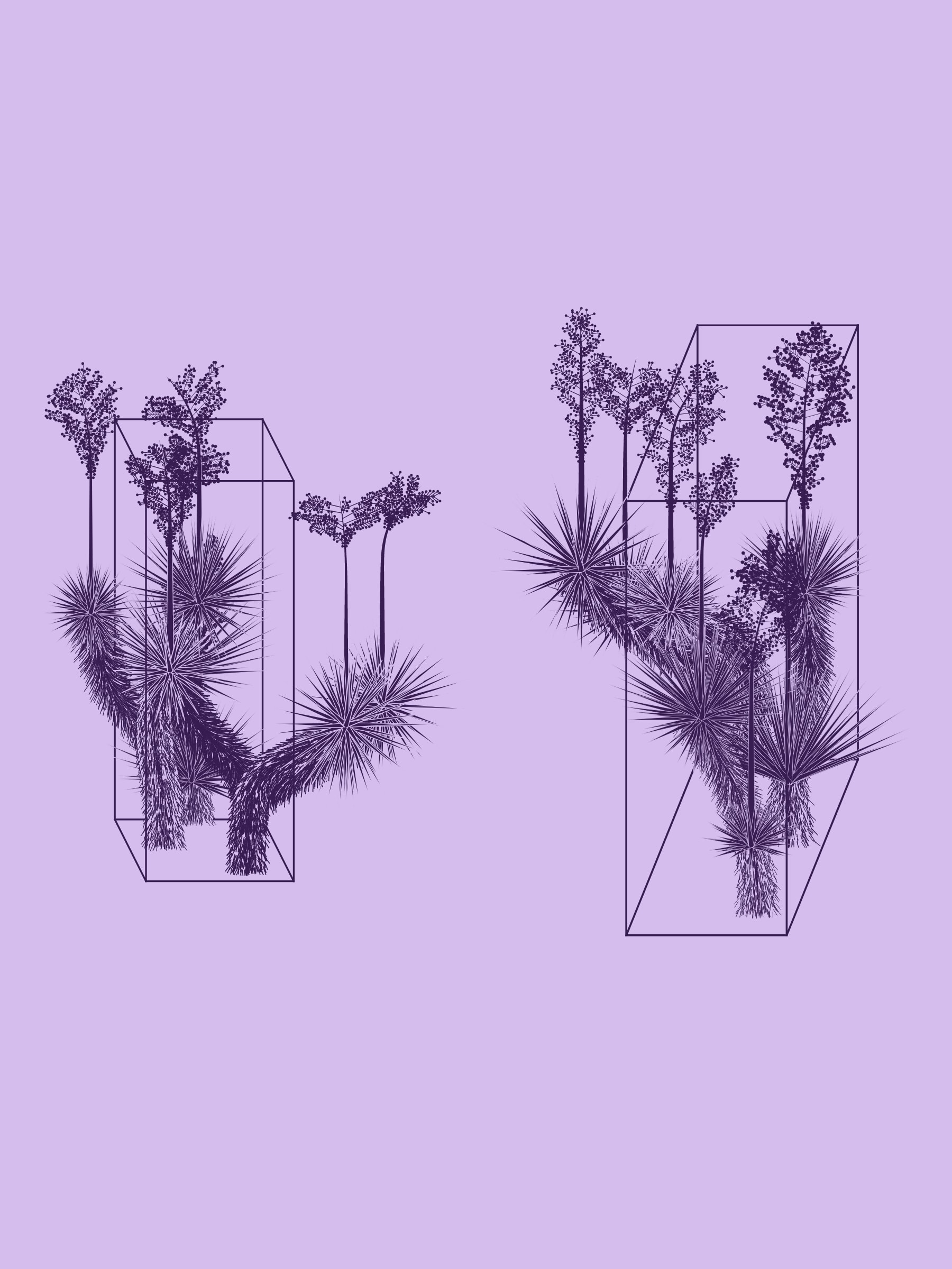Featured token for: Marfa Yucca
