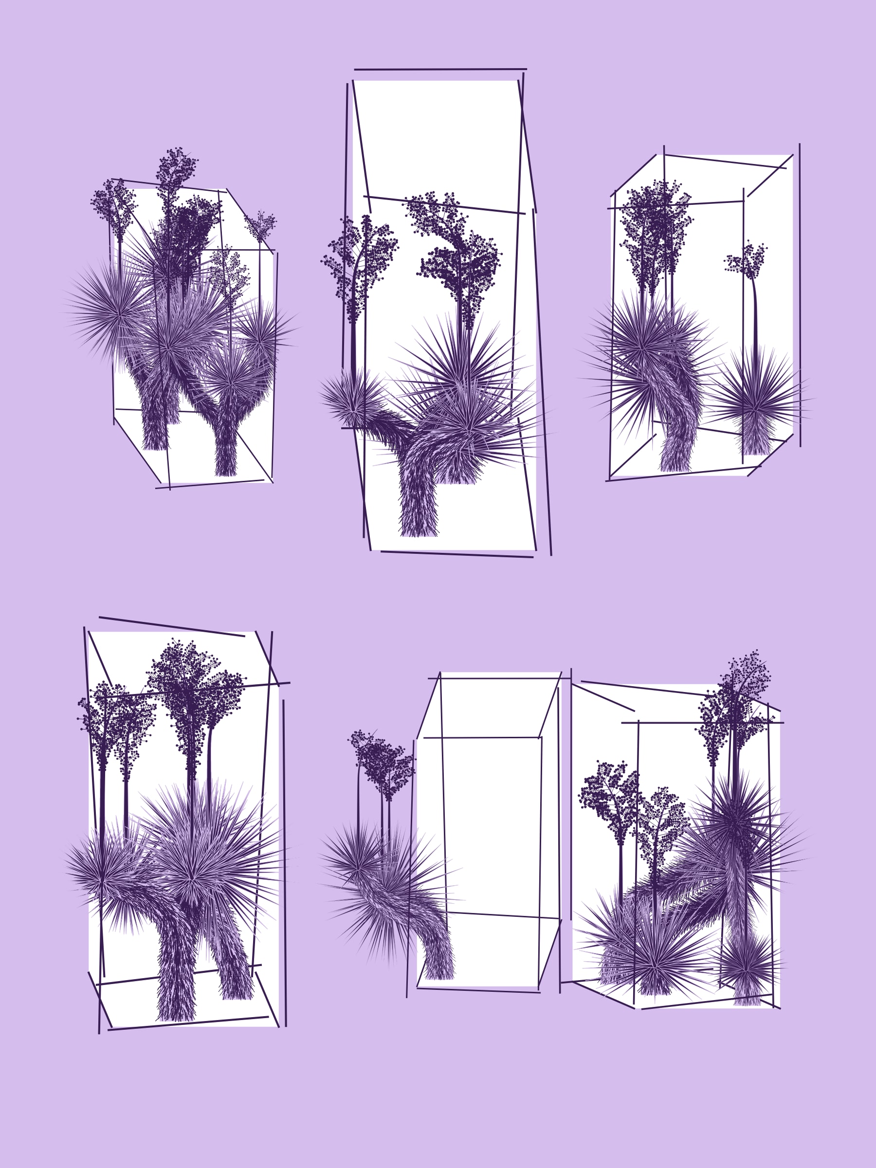 Featured token for: Marfa Yucca