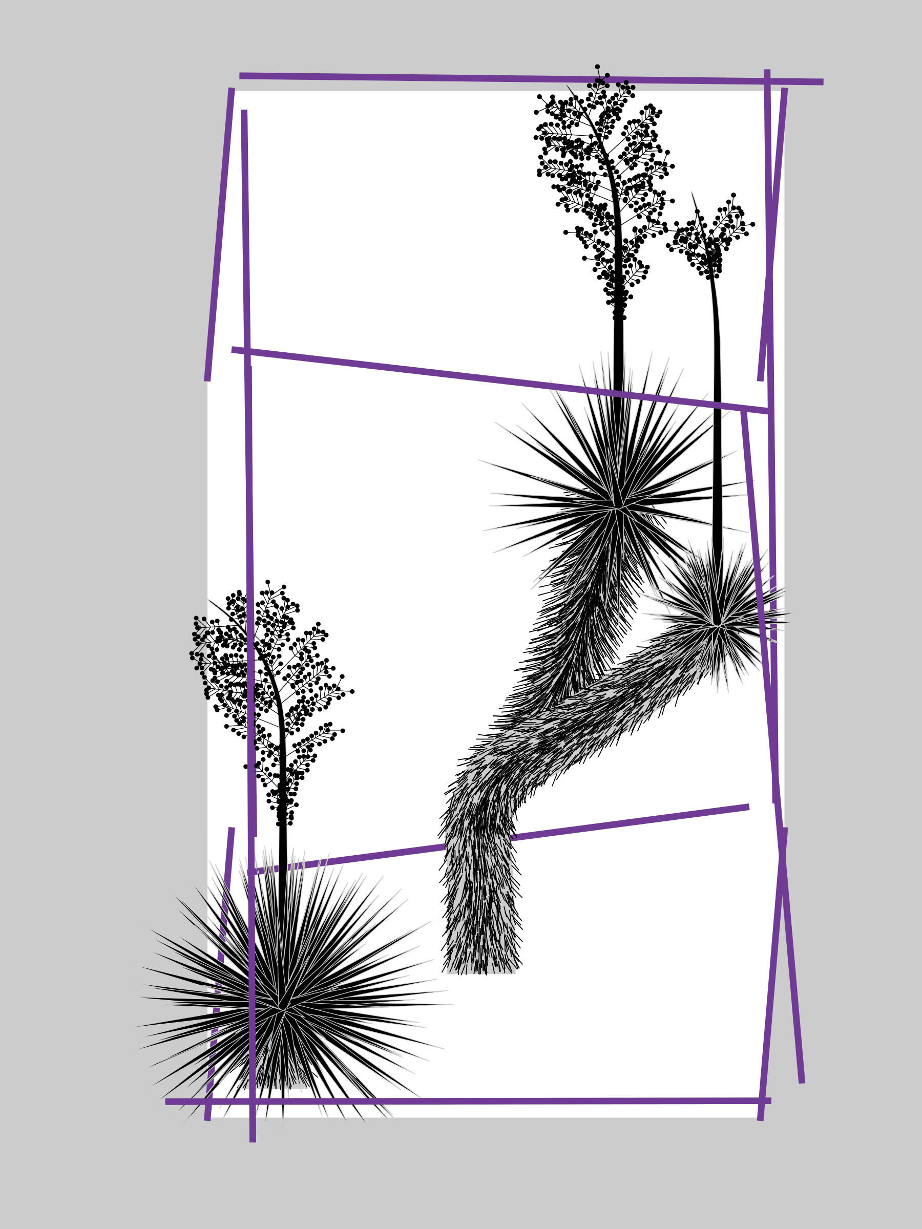 Featured token for: Marfa Yucca