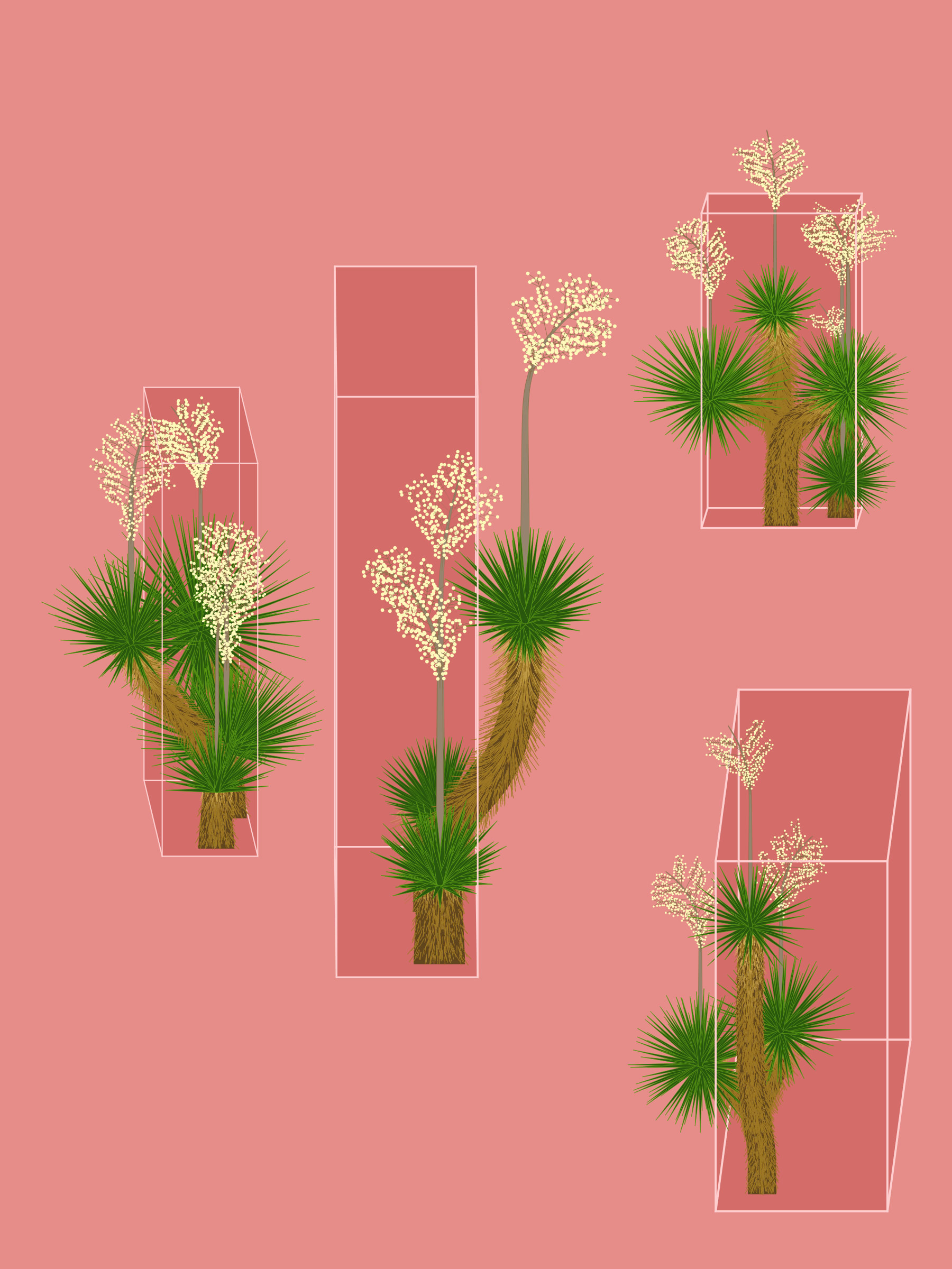 Featured token for: Marfa Yucca