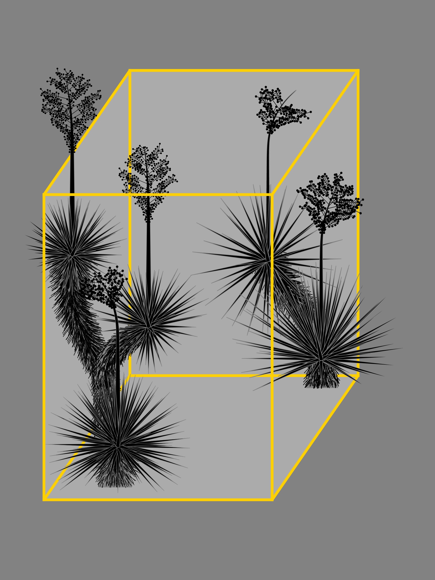 Featured token for: Marfa Yucca