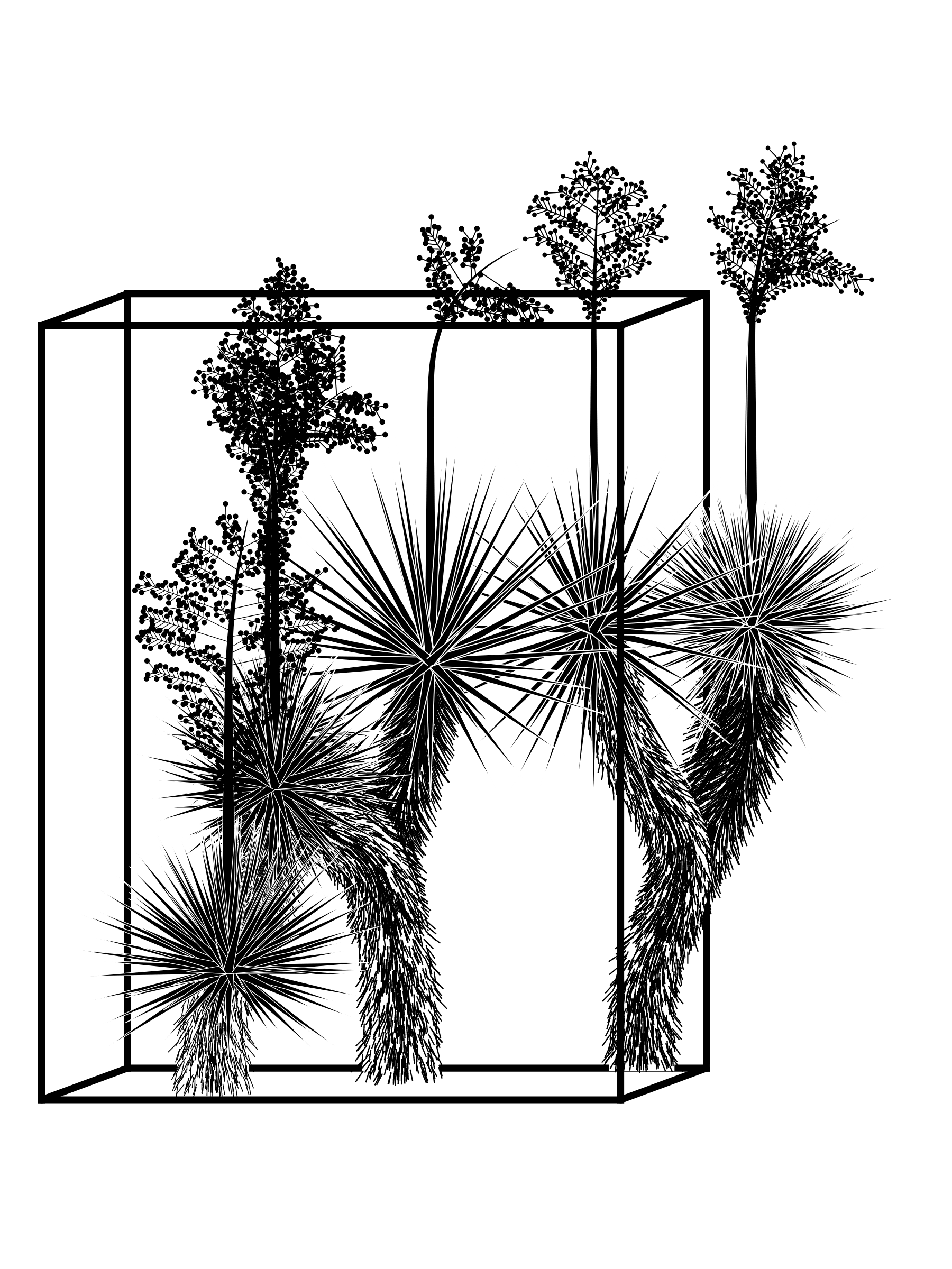 Featured token for: Marfa Yucca