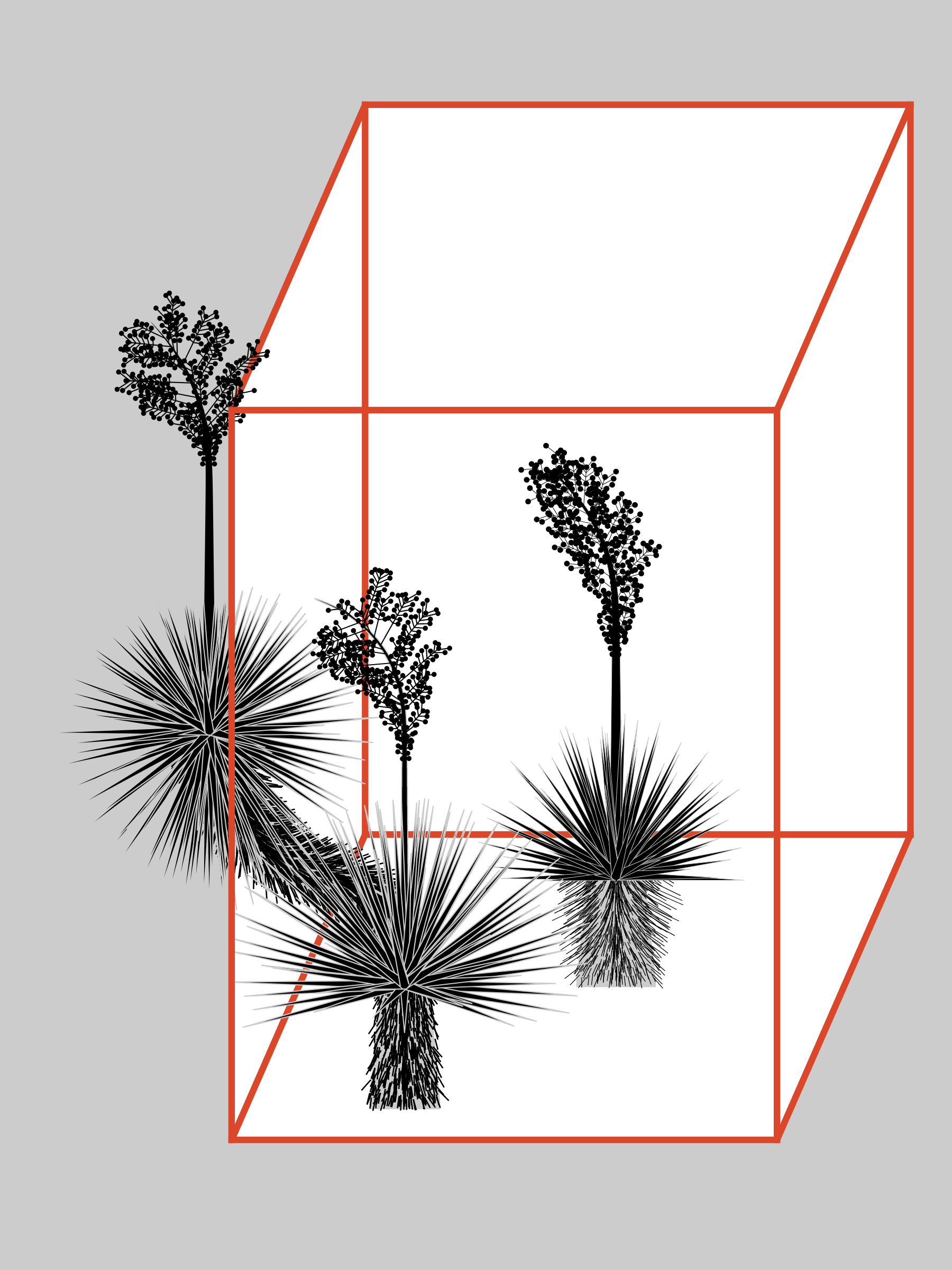 Featured token for: Marfa Yucca