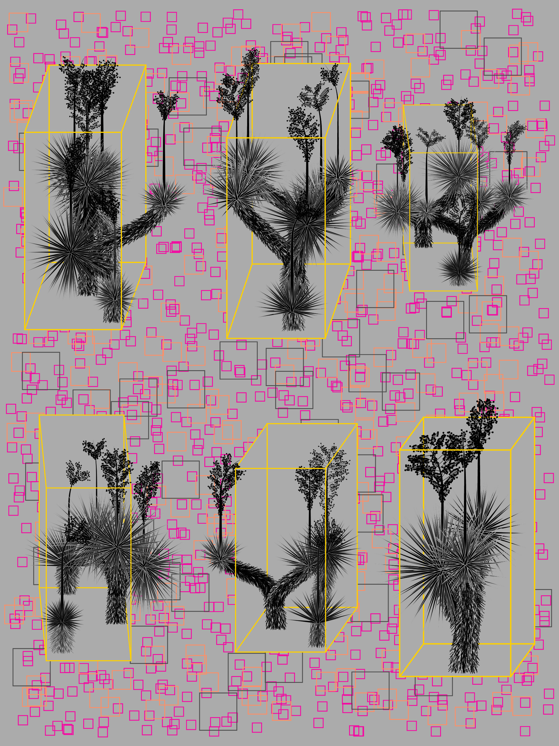 Featured token for: Marfa Yucca