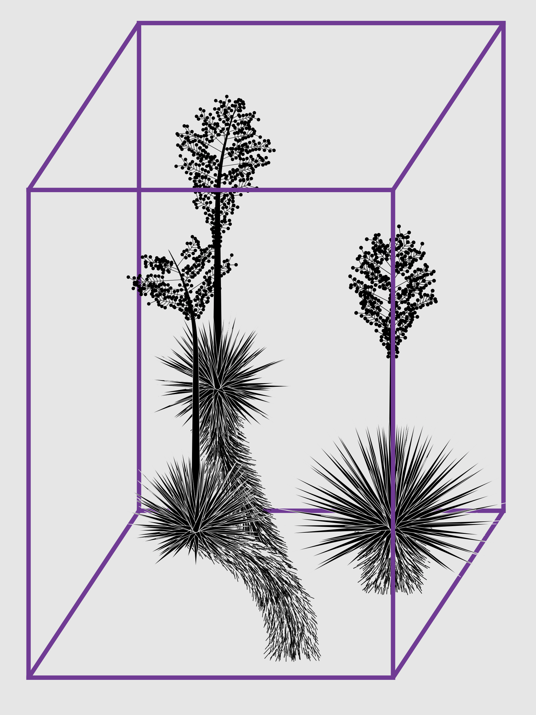 Featured token for: Marfa Yucca