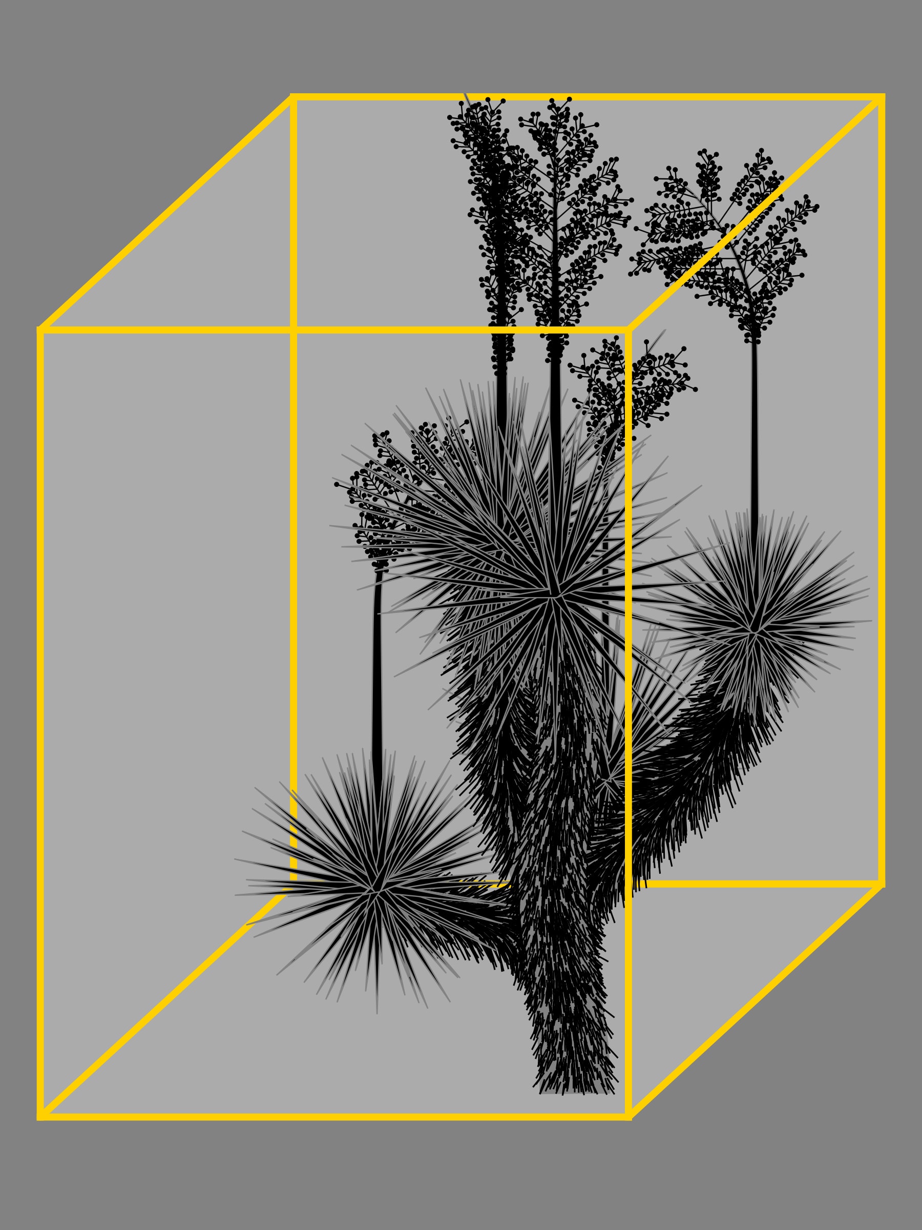 Featured token for: Marfa Yucca