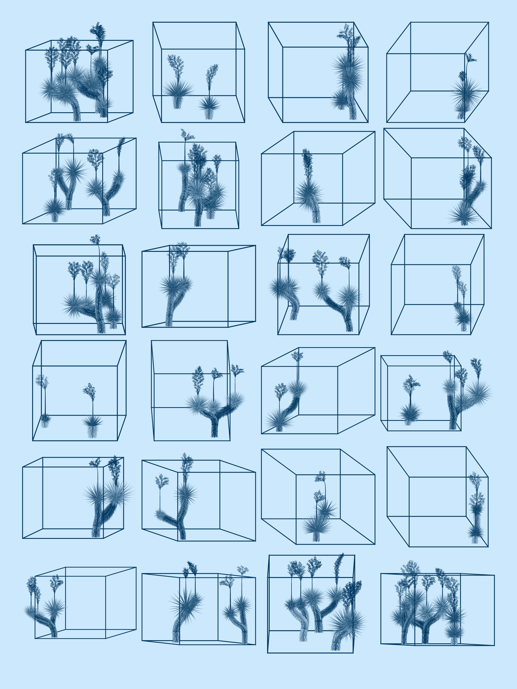 Featured token for: Marfa Yucca