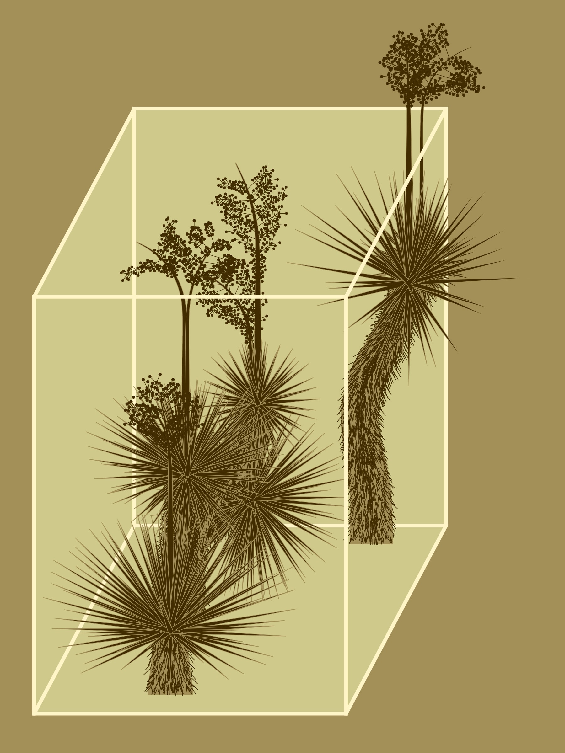 Featured token for: Marfa Yucca