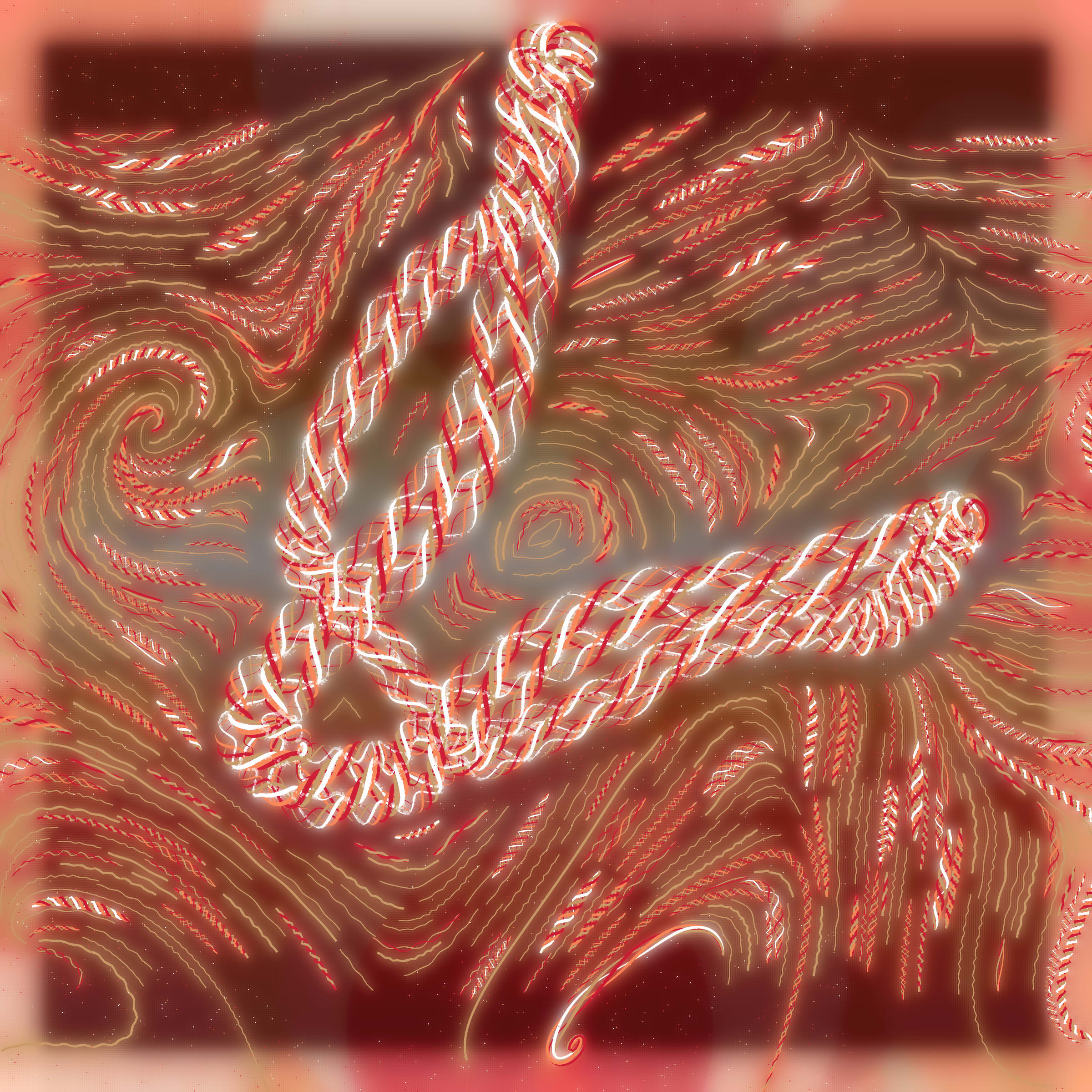 Friendship Bracelets
