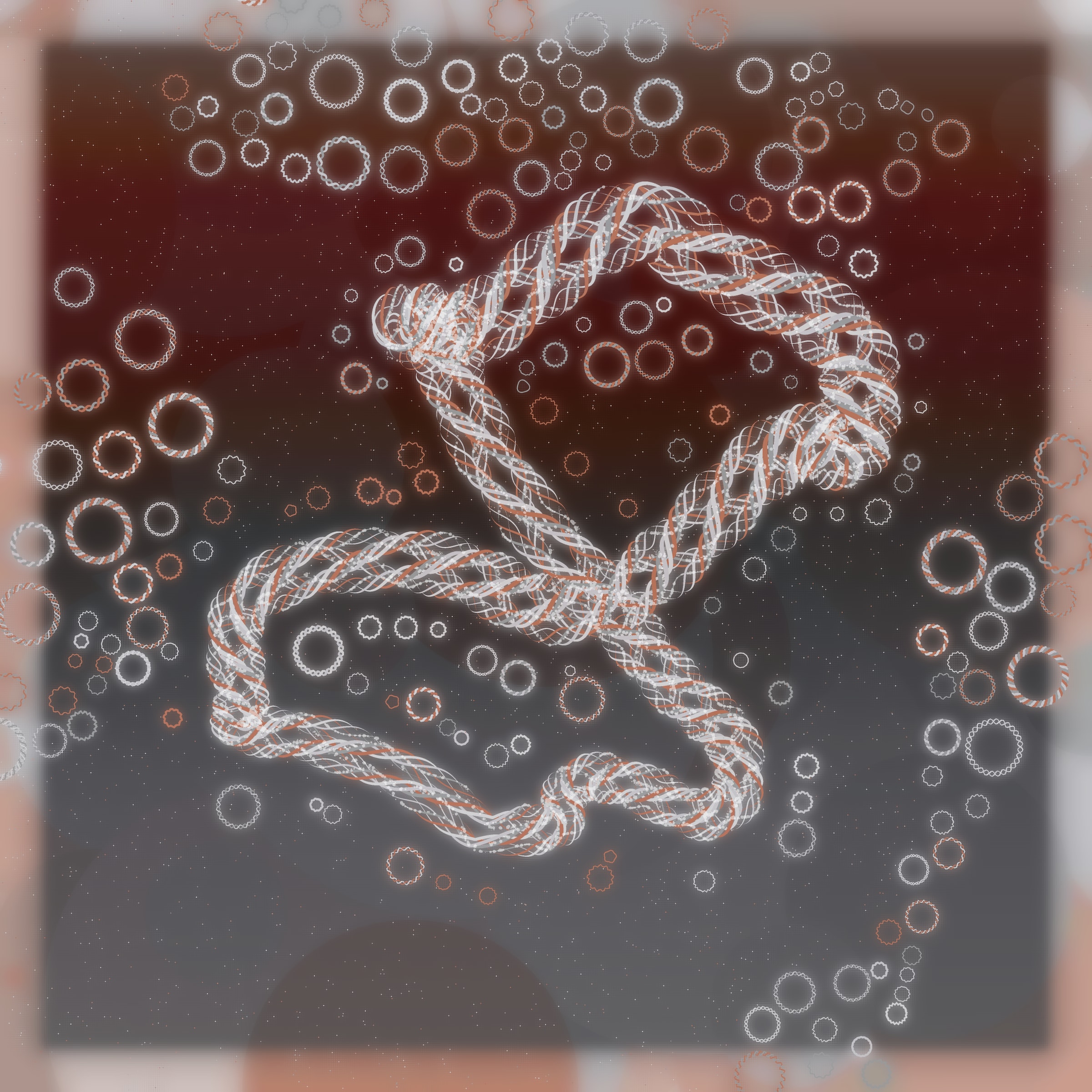 Friendship Bracelets