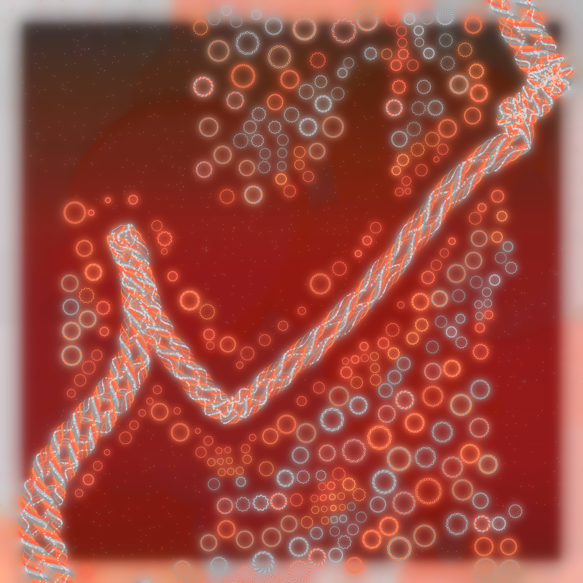 Friendship Bracelets