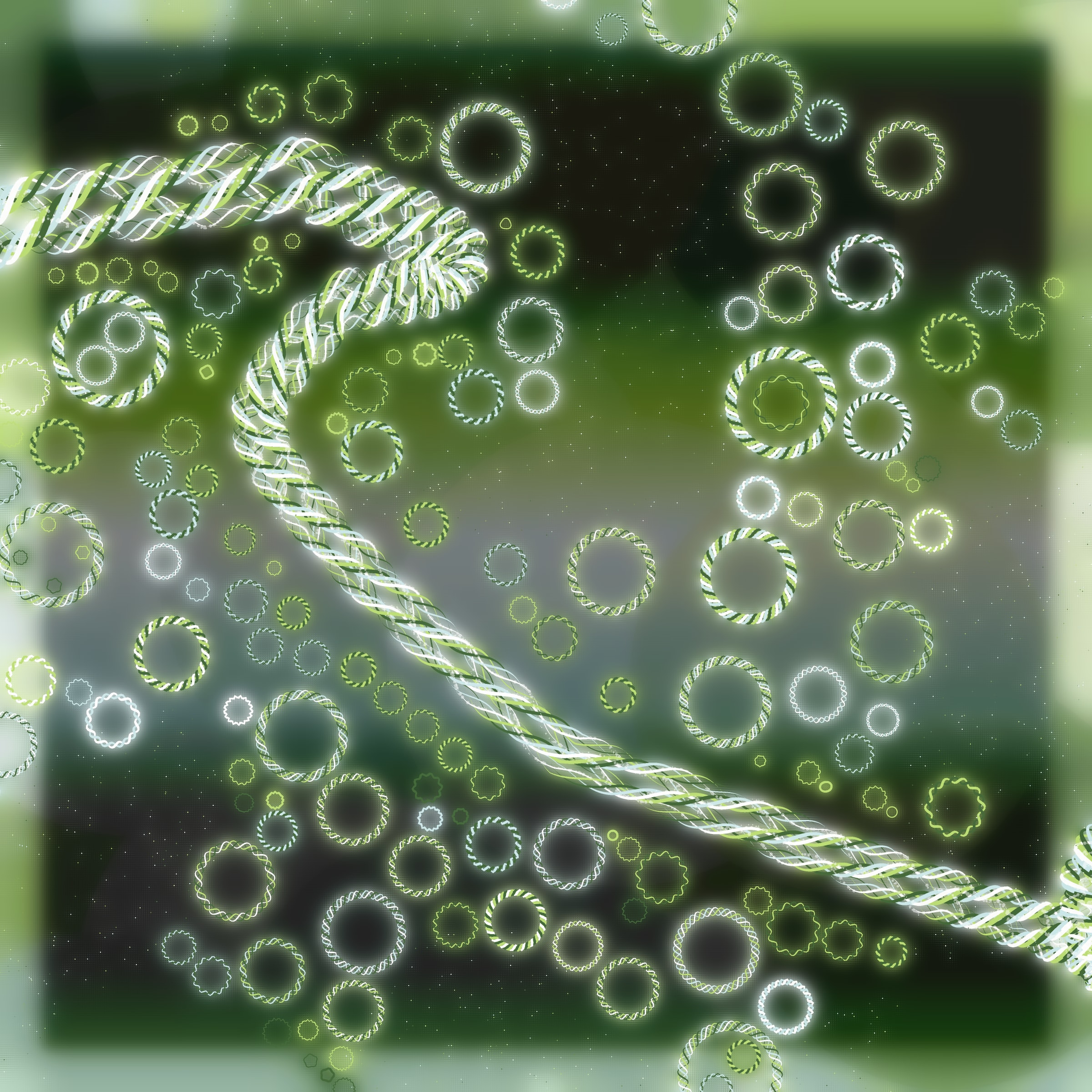 Friendship Bracelets