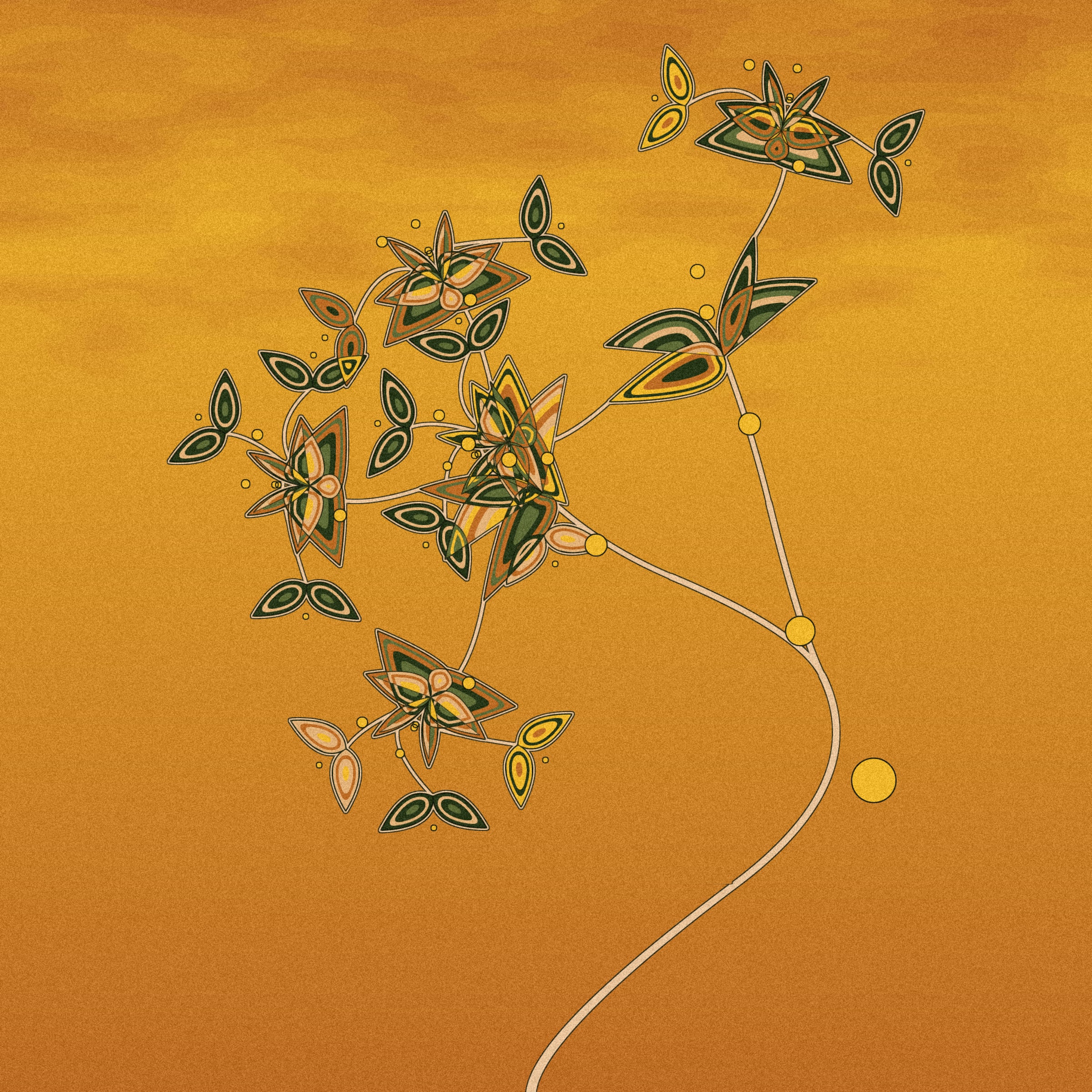 Seedlings #380000017