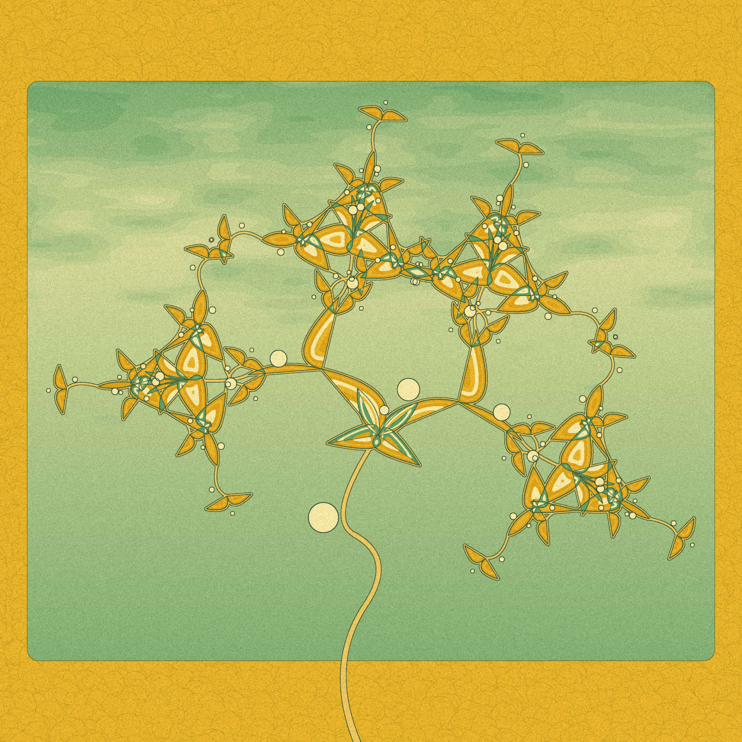 Seedlings #380000020