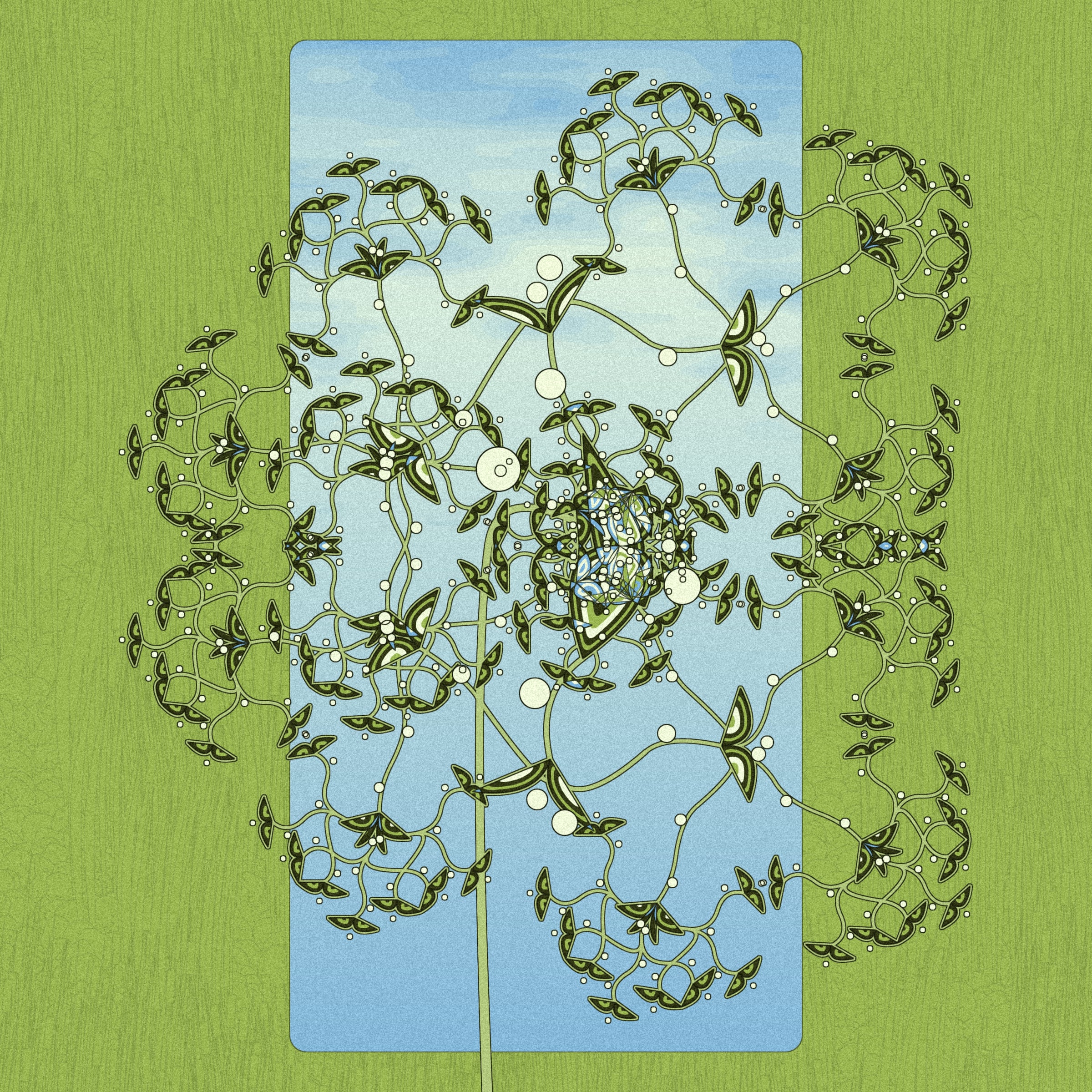 Seedlings #380000037