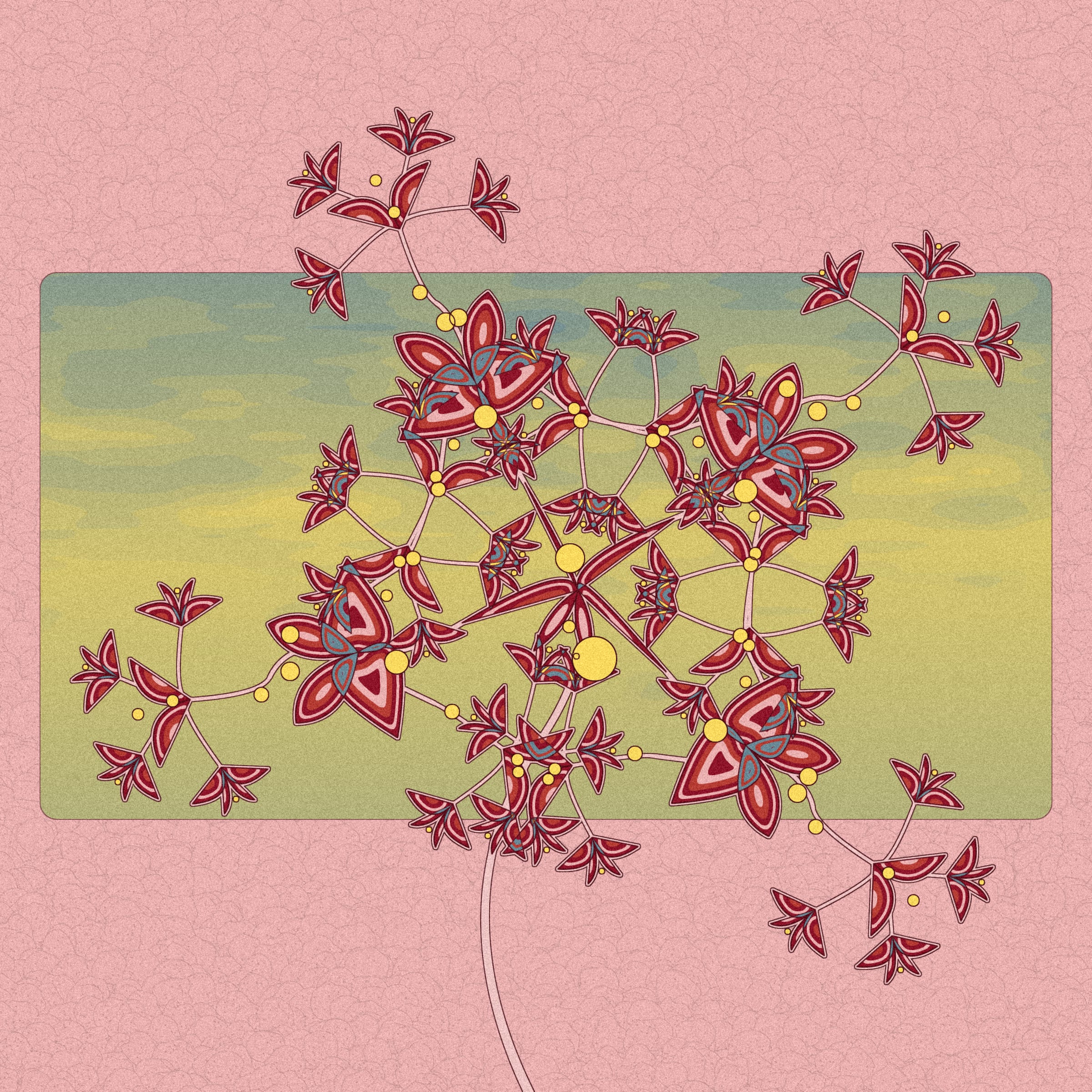 Seedlings #380000049