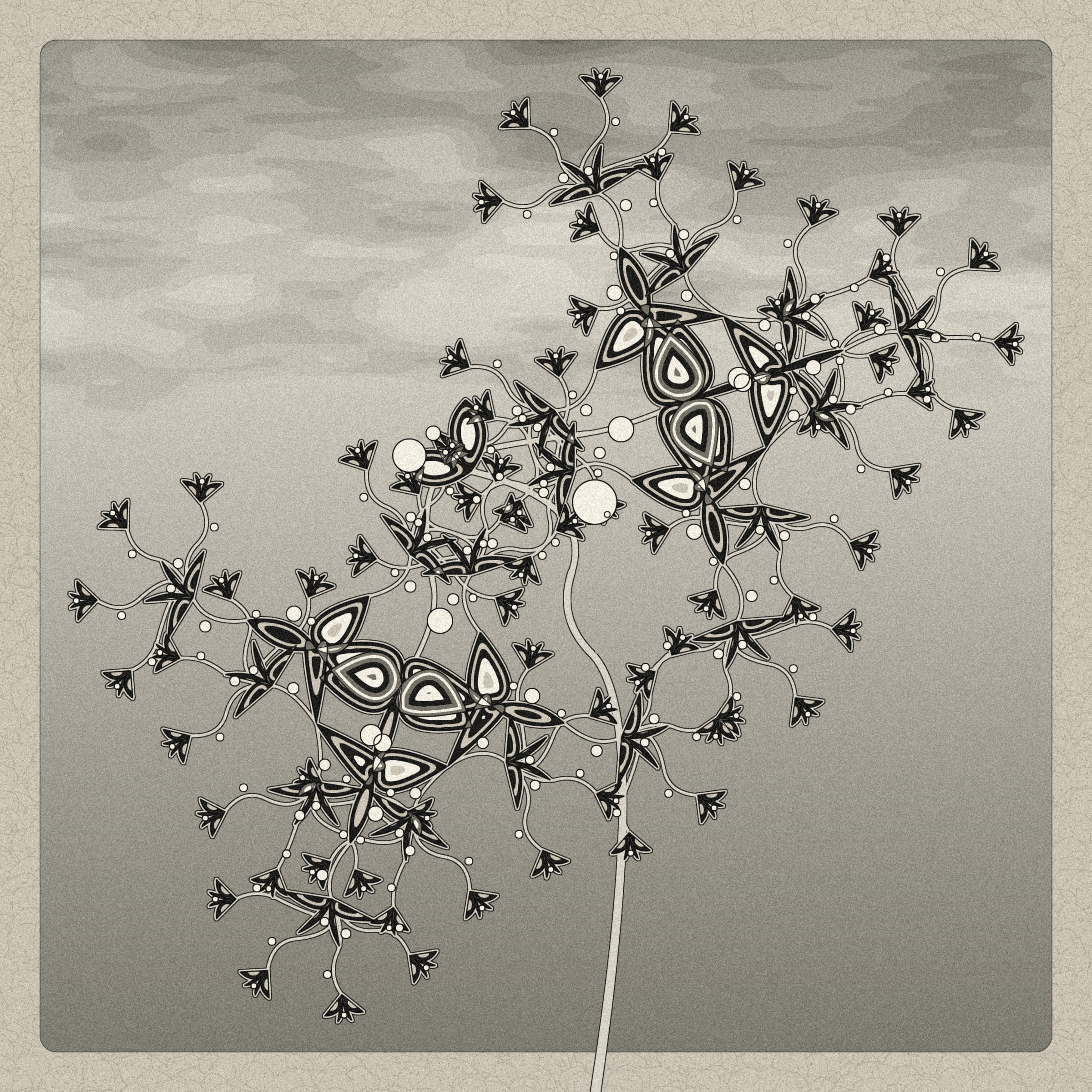 Seedlings #380000120