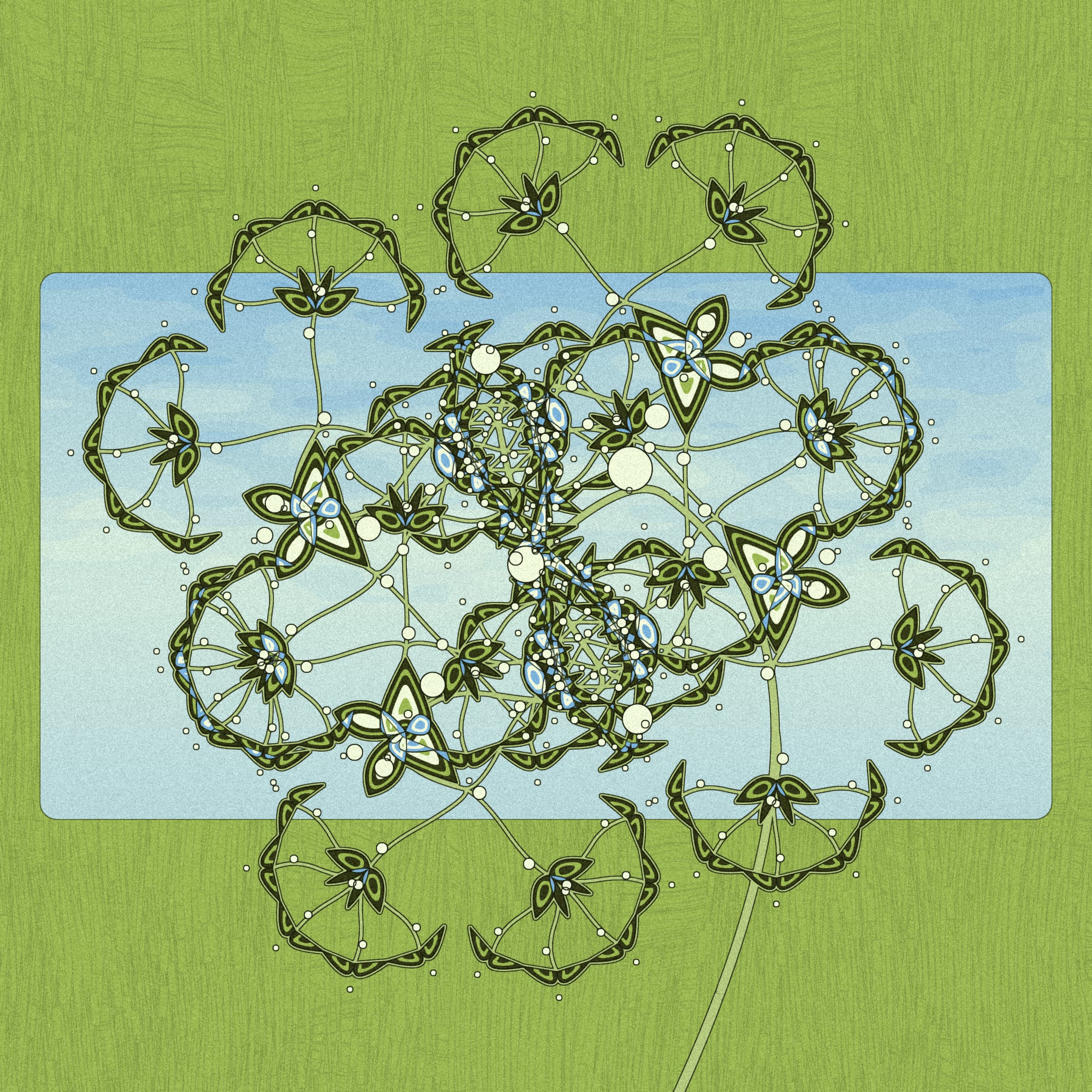 Seedlings #380000167