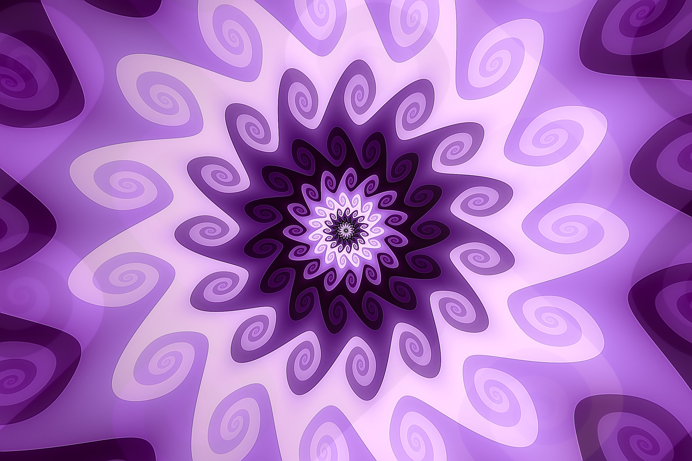 Volute