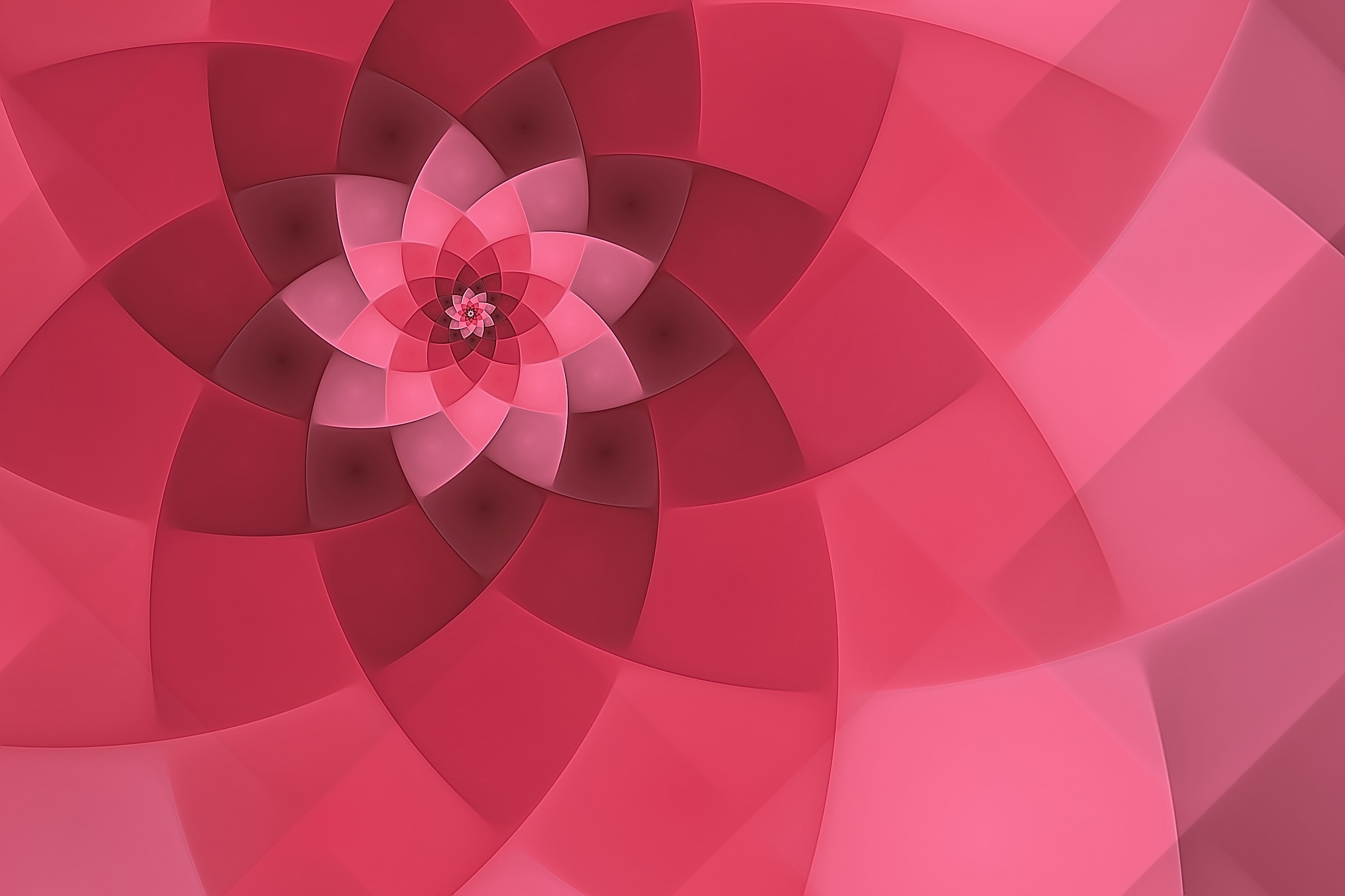 Volute