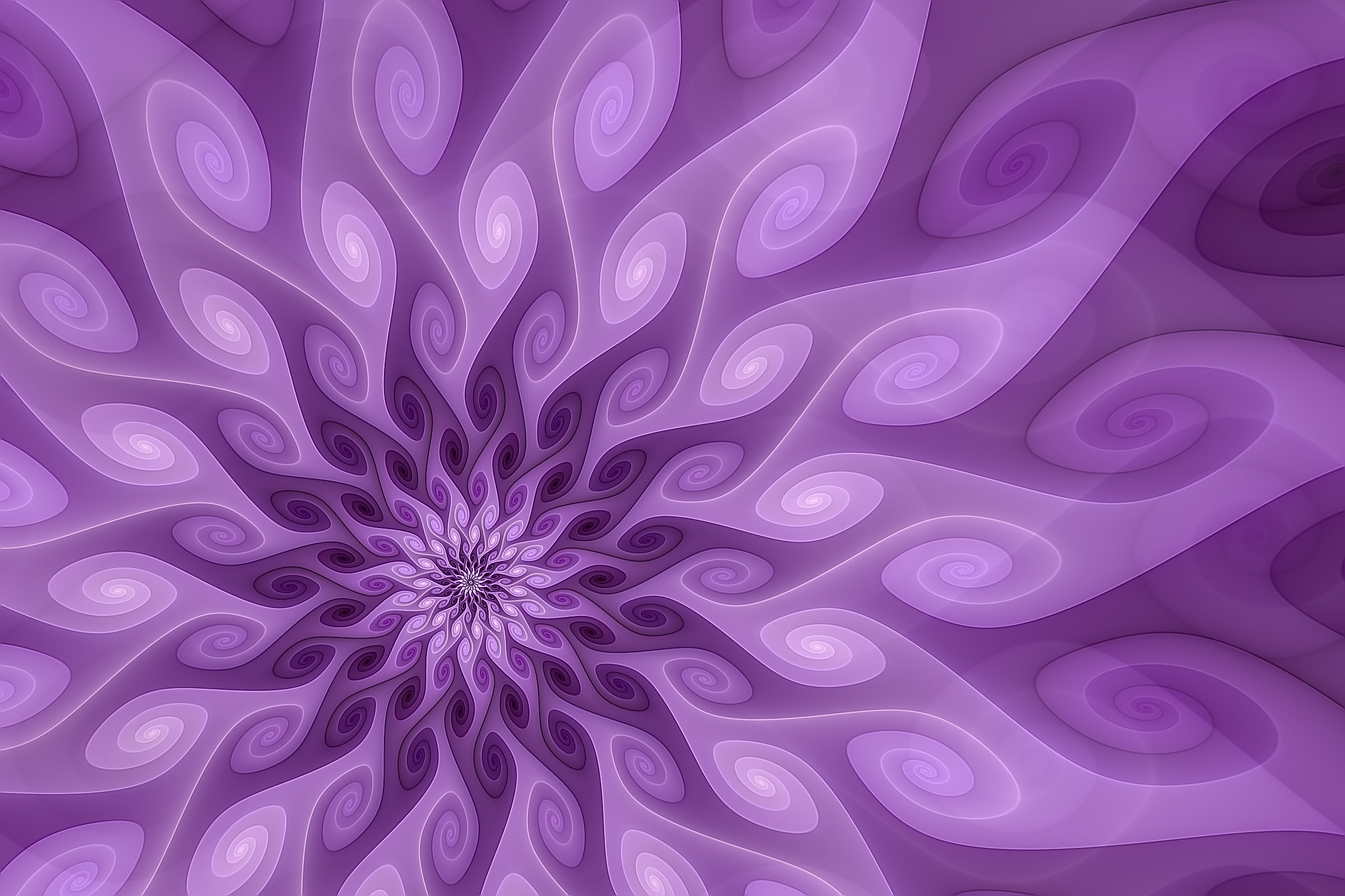 Volute preview 1